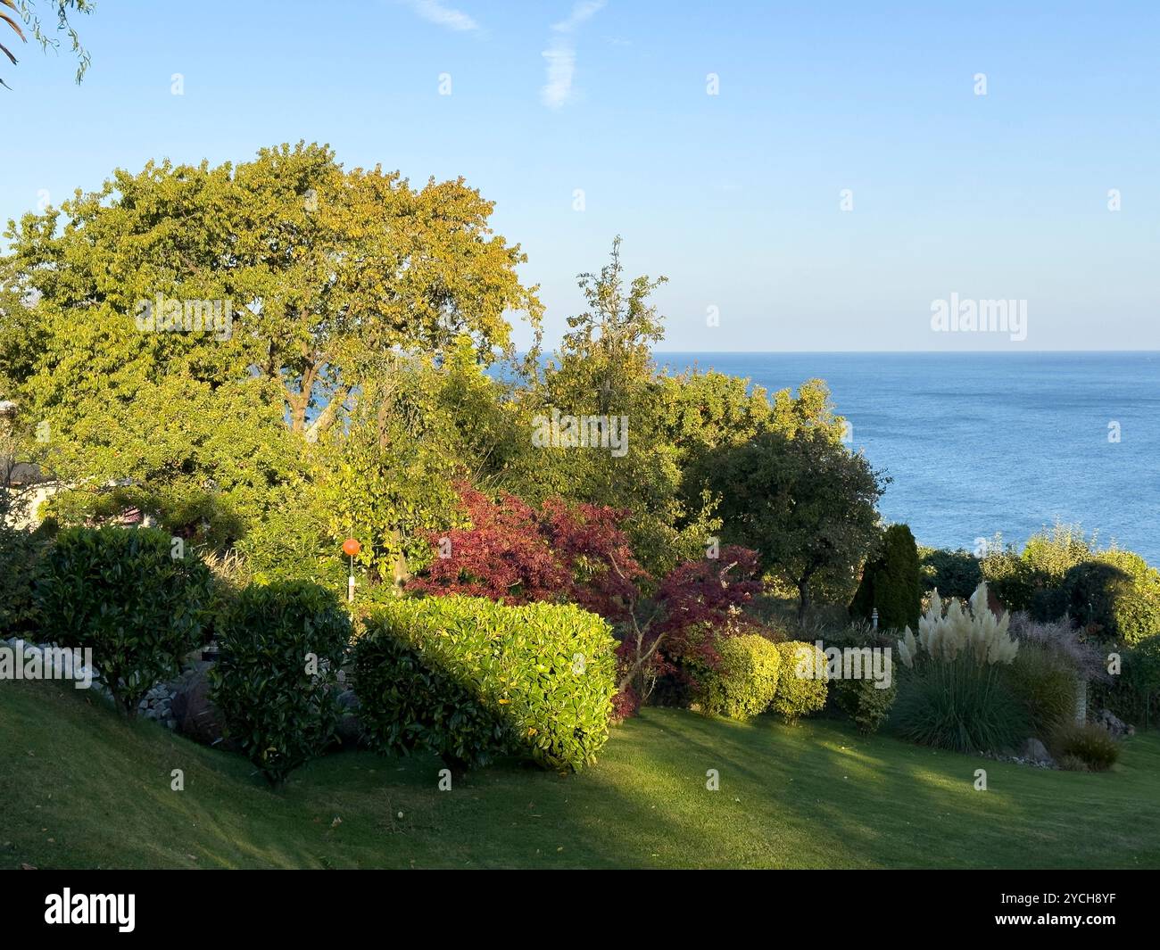 Arbres dans le jardin avec vue sur la mer Baltique sur l'île de Rügen Banque D'Images