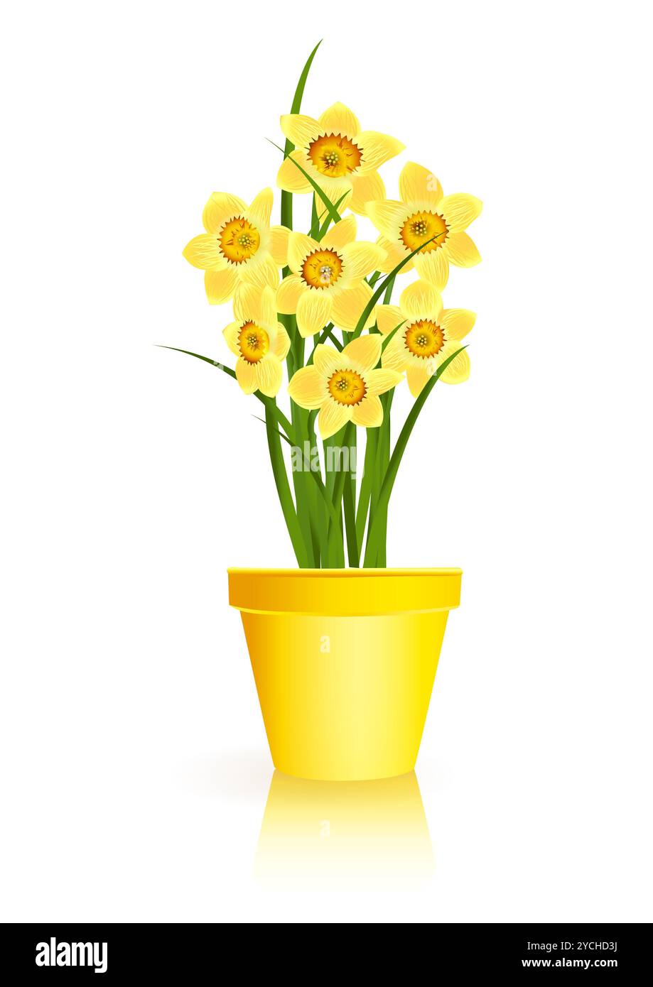Jardinage de printemps. Fleurs de narcisse jaunes en pot sur fond blanc. Illustration vectorielle eps10 Banque D'Images
