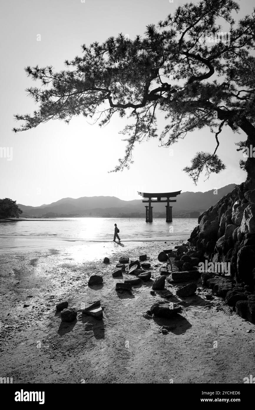 Porte flottante Torii du sanctuaire Itsukushima à Miyajima, Hiroshima - BW Banque D'Images