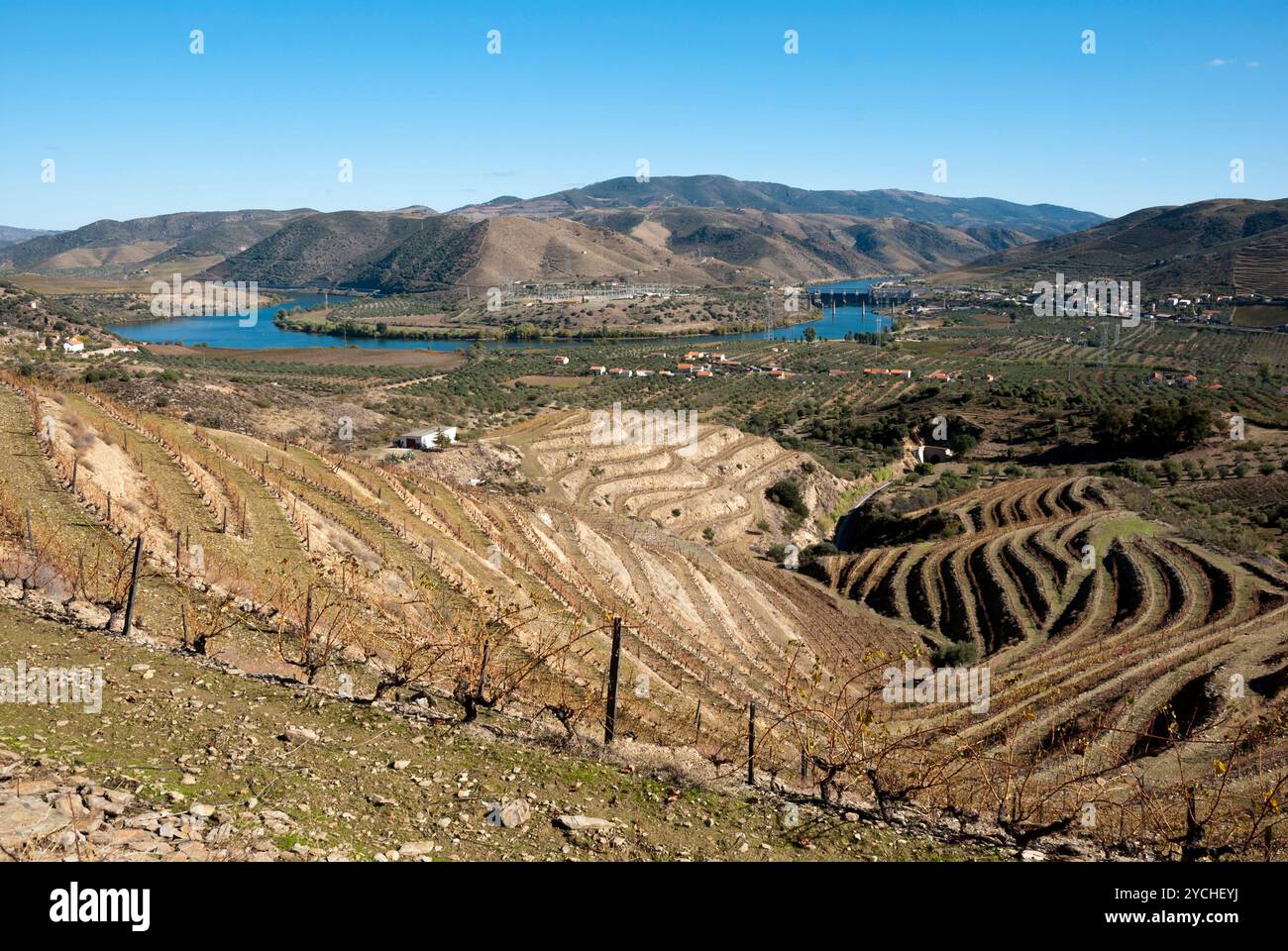 Vignoble de la vallée du Douro, Portugal Banque D'Images