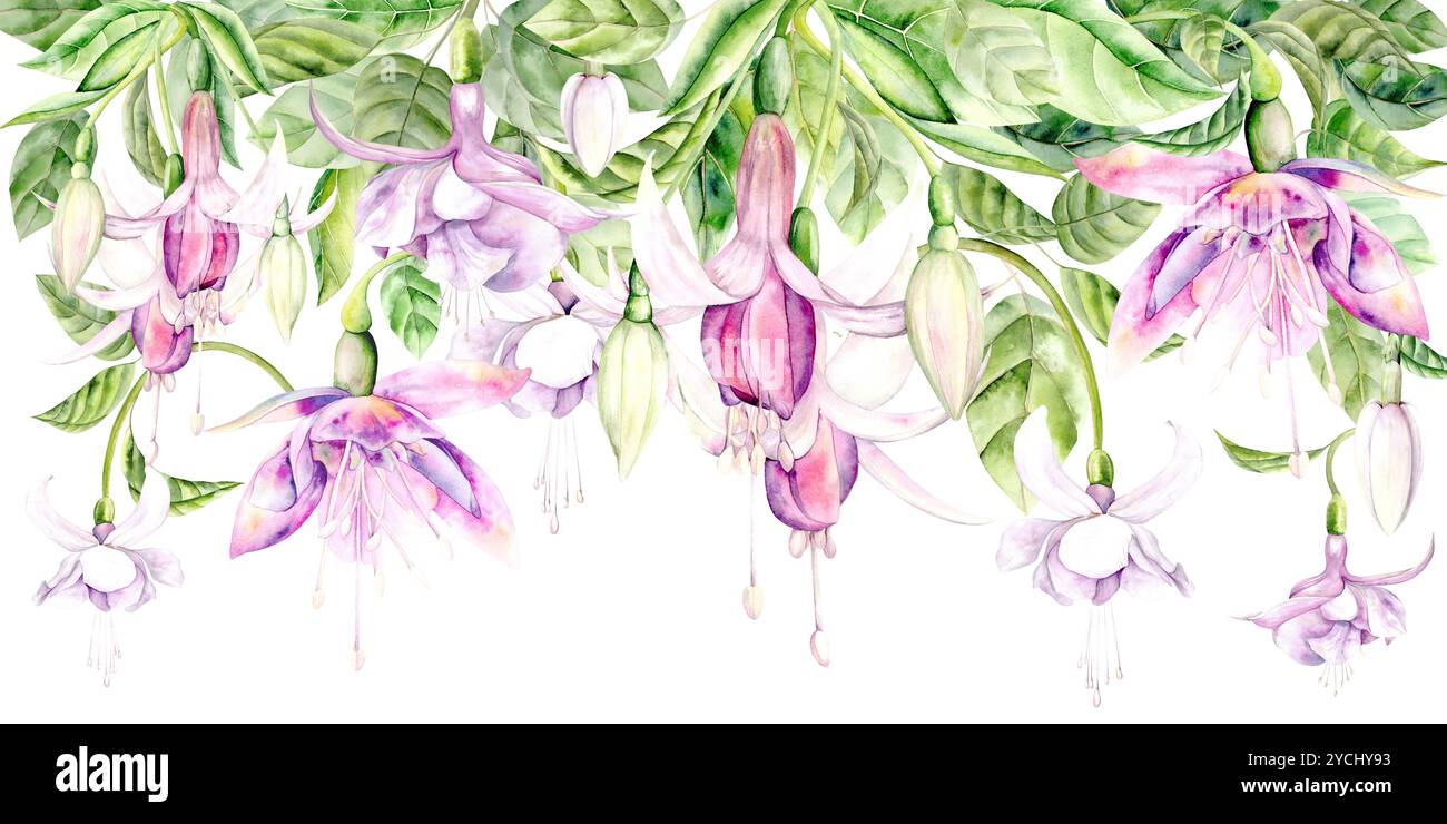 Fleur de fuchsia. Illustration aquarelle lumineuse dessinée à la main sur un fond blanc. Convient pour le décor et les textiles Banque D'Images