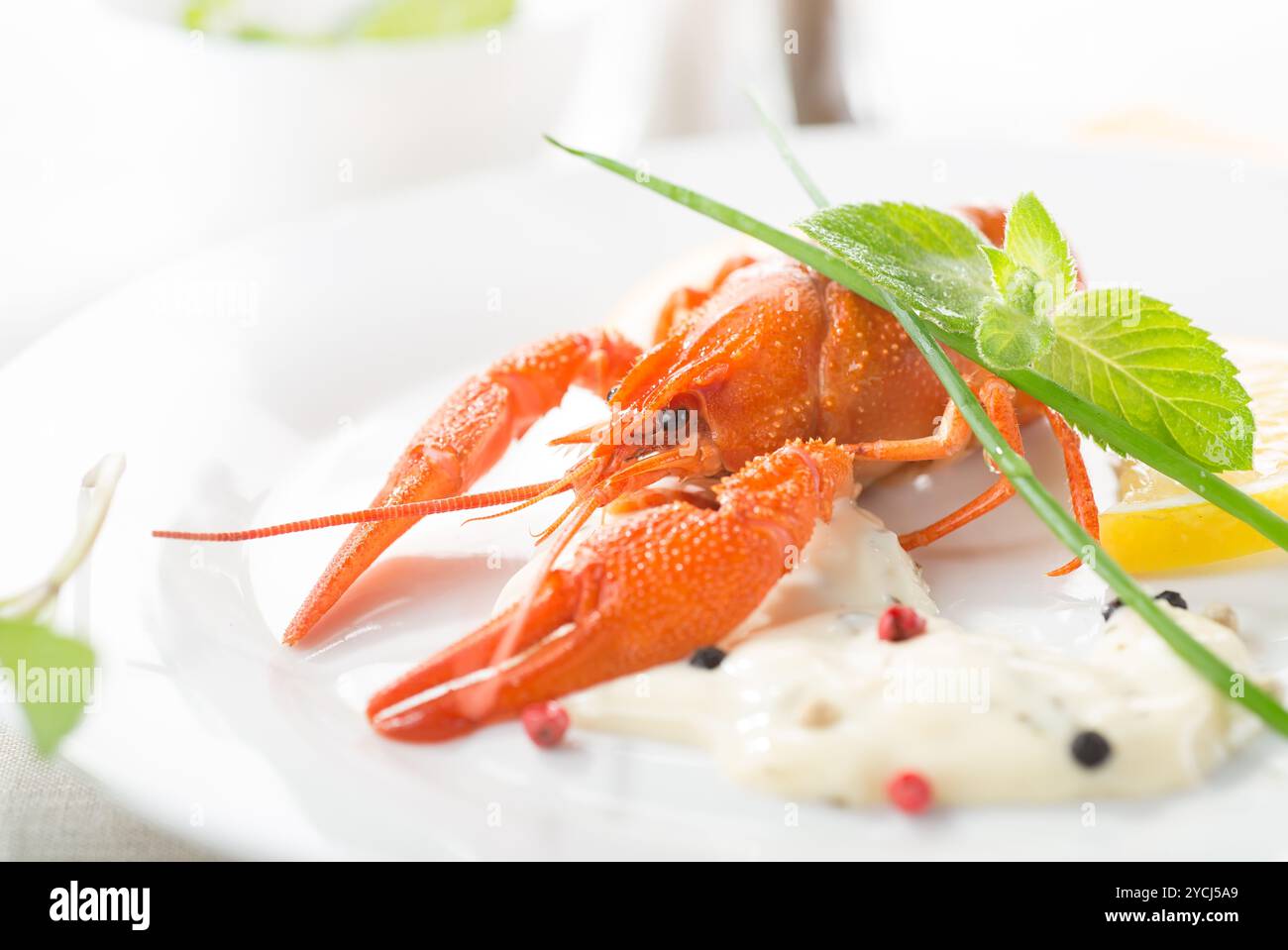 Red Lobster sur une plaque blanche Banque D'Images