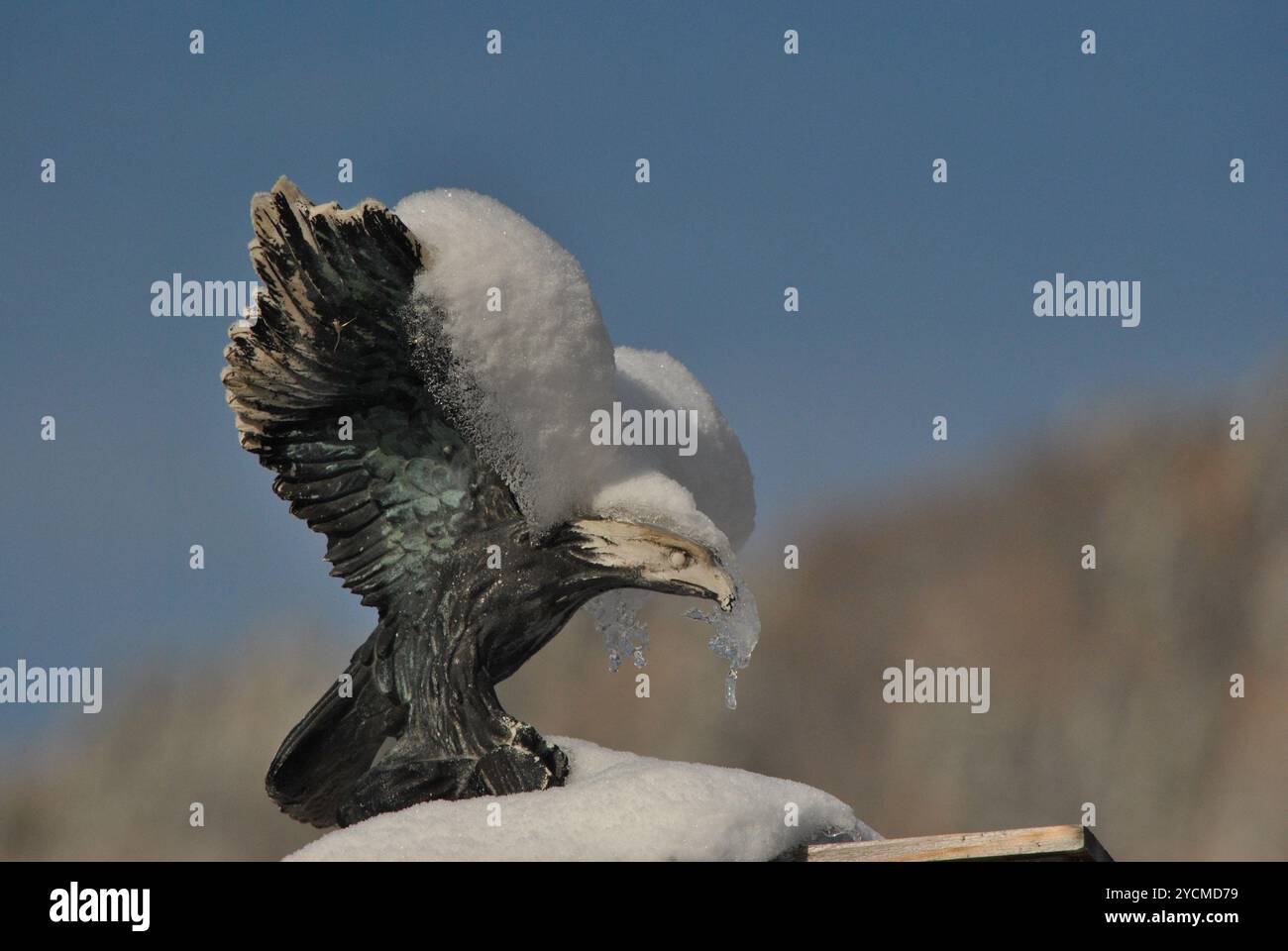 la statue d'aigle enneigée Banque D'Images