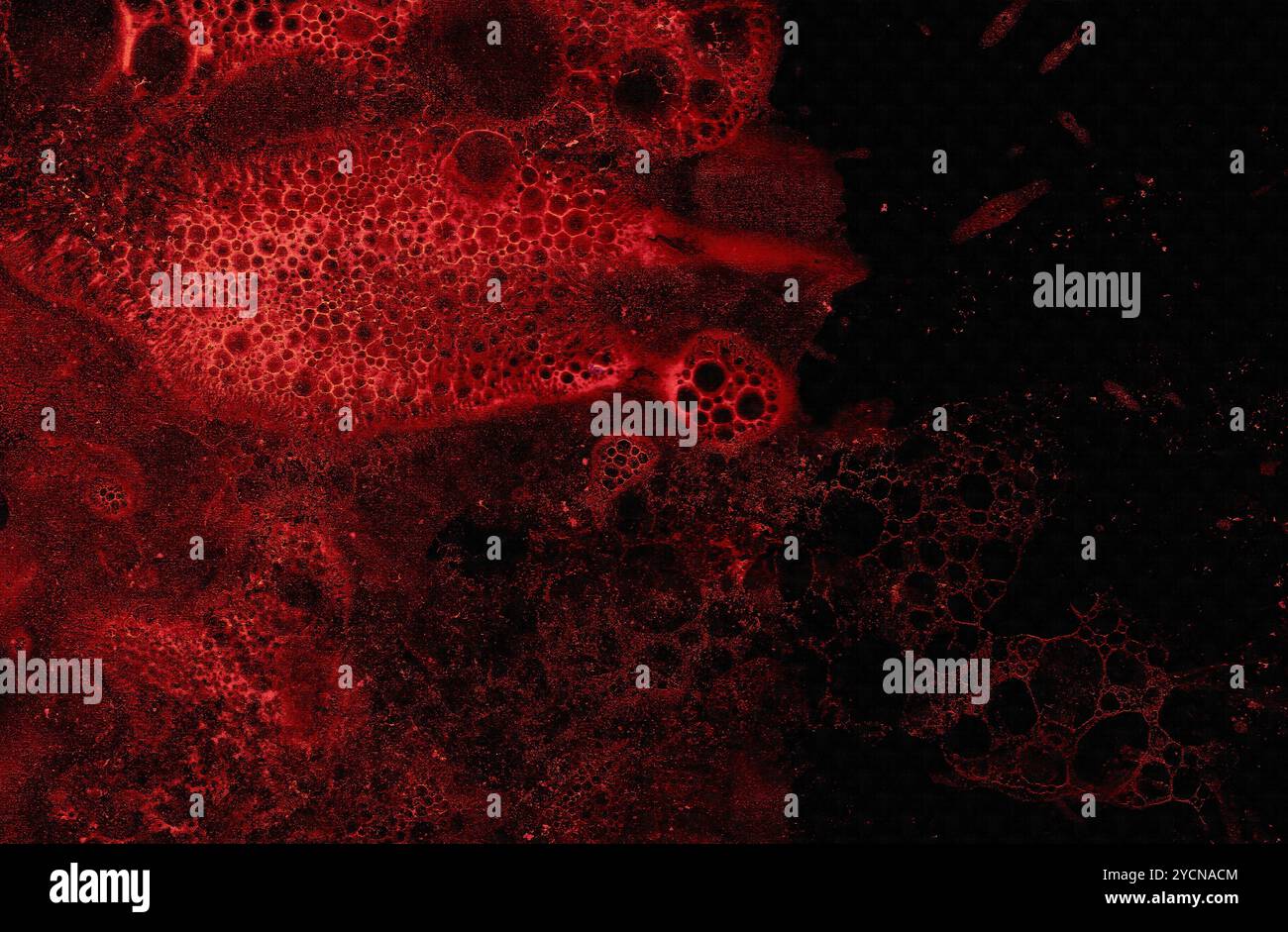 Modèle abstrait rouge foncé, fond décoratif grunge sanglant texturé Banque D'Images