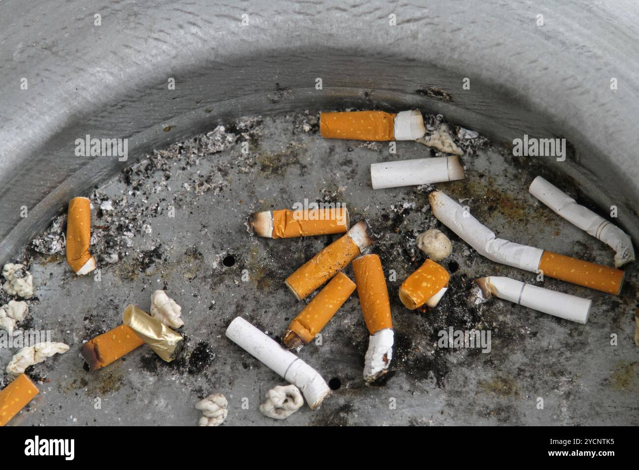 Mégots de cigarettes Banque D'Images