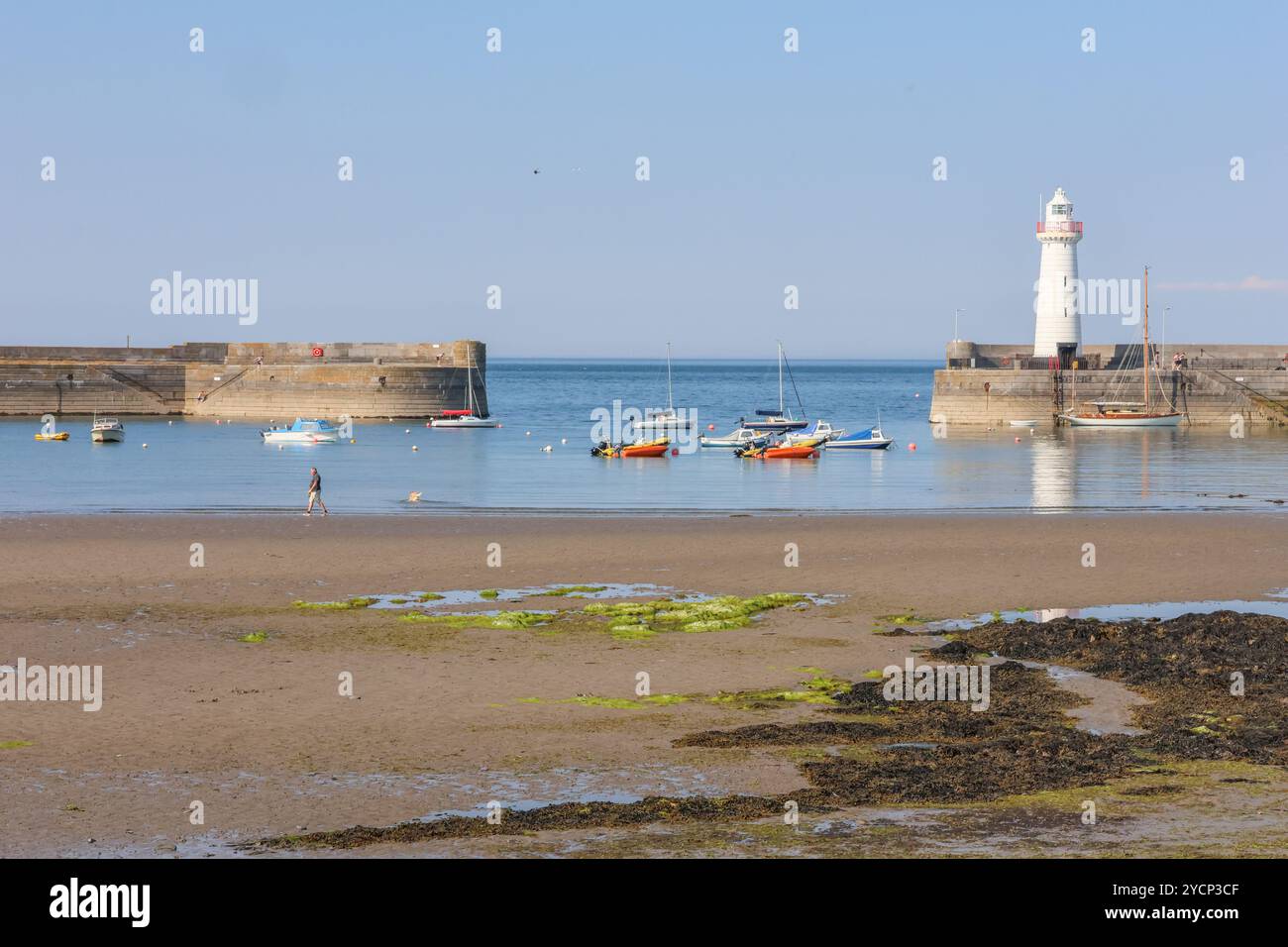 Homme marchant sur la plage de sable fin Comté avec chien dans le port à Donaghadee, Donaghadee phares bateaux et quai du port. Banque D'Images