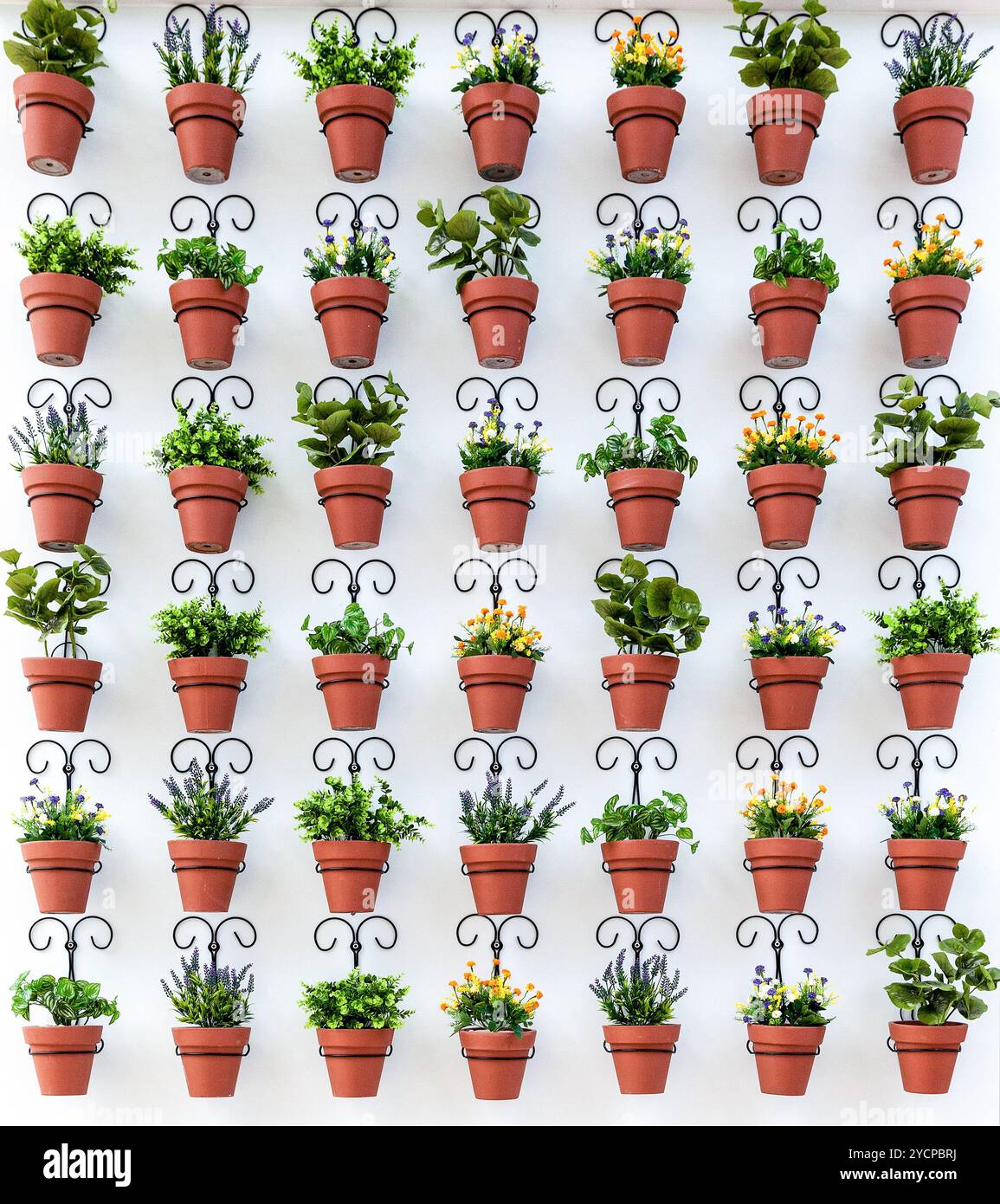 Arrière-plan de pots de fleurs, accroché au mur Banque D'Images