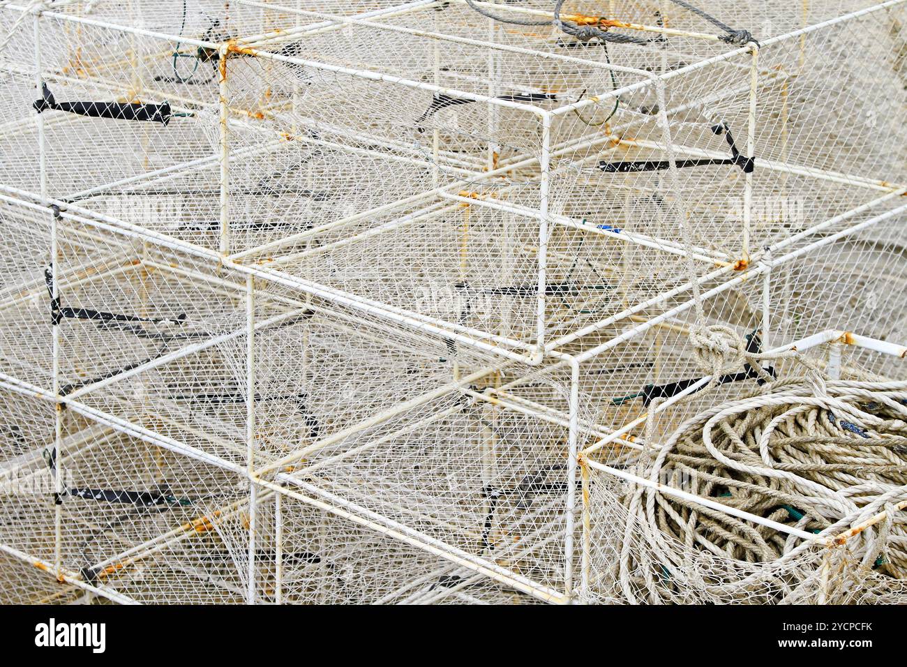 Cage pour pièges à poissons Banque D'Images