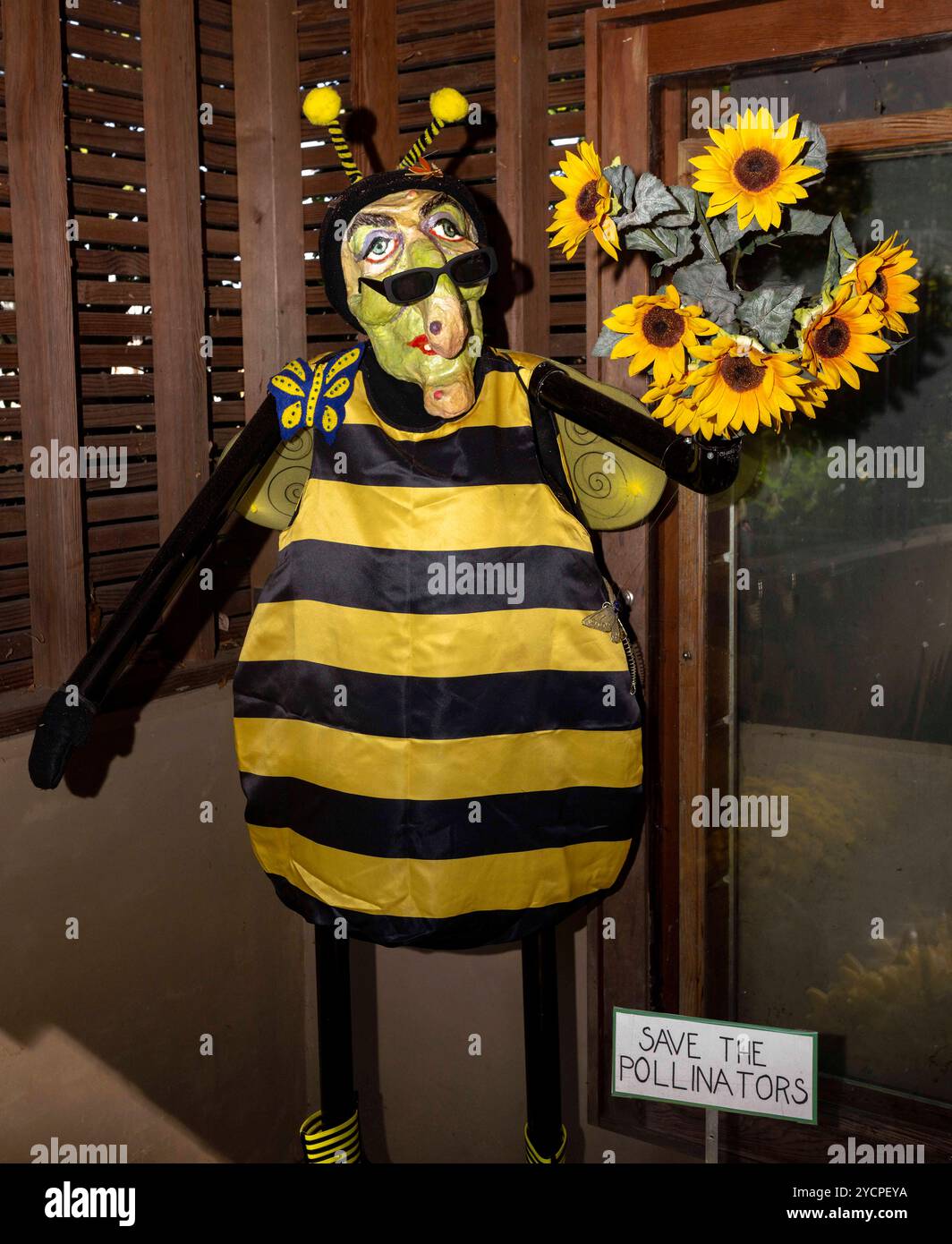 Atlanta, Géorgie, États-Unis 23 octobre 2024. Scarecrows in the Garden à l'Atlanta Botanical Garden présente des centaines d'épouvantails créés par des artistes locaux, des artisans, des groupes de jeunes et des entreprises. (Crédit image : © Brian Cahn/ZUMA Press Wire) USAGE ÉDITORIAL SEULEMENT! Non destiné à UN USAGE commercial ! Banque D'Images