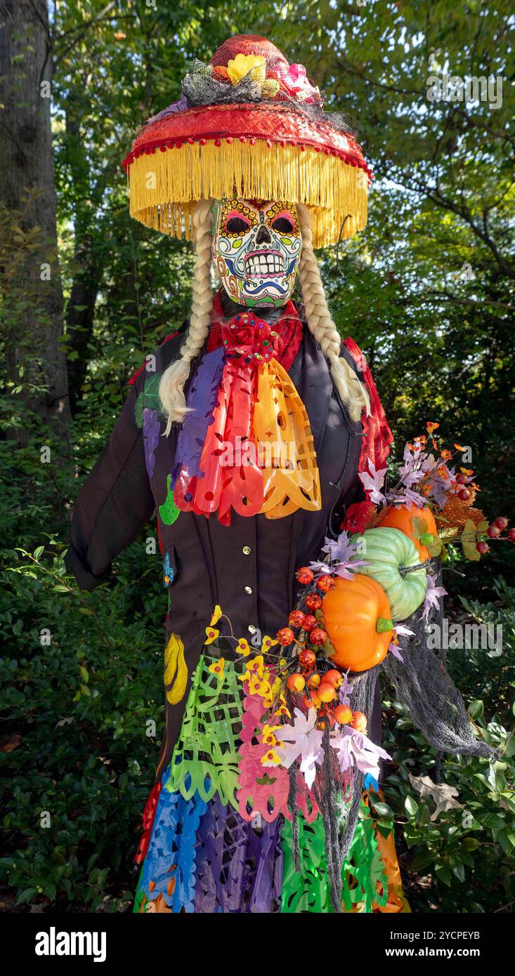 Atlanta, Géorgie, États-Unis 23 octobre 2024. Scarecrows in the Garden à l'Atlanta Botanical Garden présente des centaines d'épouvantails créés par des artistes locaux, des artisans, des groupes de jeunes et des entreprises. (Crédit image : © Brian Cahn/ZUMA Press Wire) USAGE ÉDITORIAL SEULEMENT! Non destiné à UN USAGE commercial ! Banque D'Images