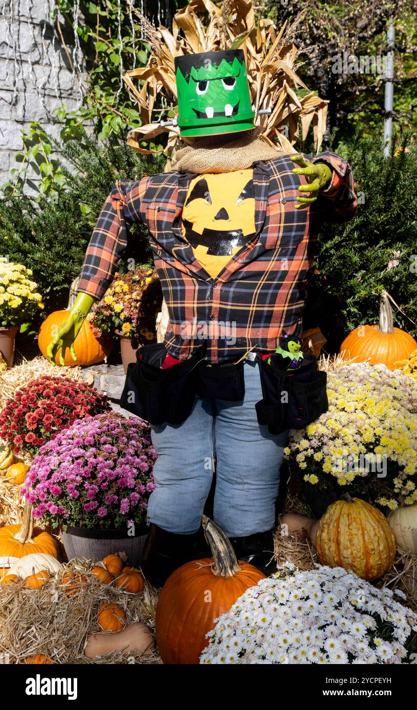 Atlanta, Géorgie, États-Unis 23 octobre 2024. Scarecrows in the Garden à l'Atlanta Botanical Garden présente des centaines d'épouvantails créés par des artistes locaux, des artisans, des groupes de jeunes et des entreprises. (Crédit image : © Brian Cahn/ZUMA Press Wire) USAGE ÉDITORIAL SEULEMENT! Non destiné à UN USAGE commercial ! Banque D'Images