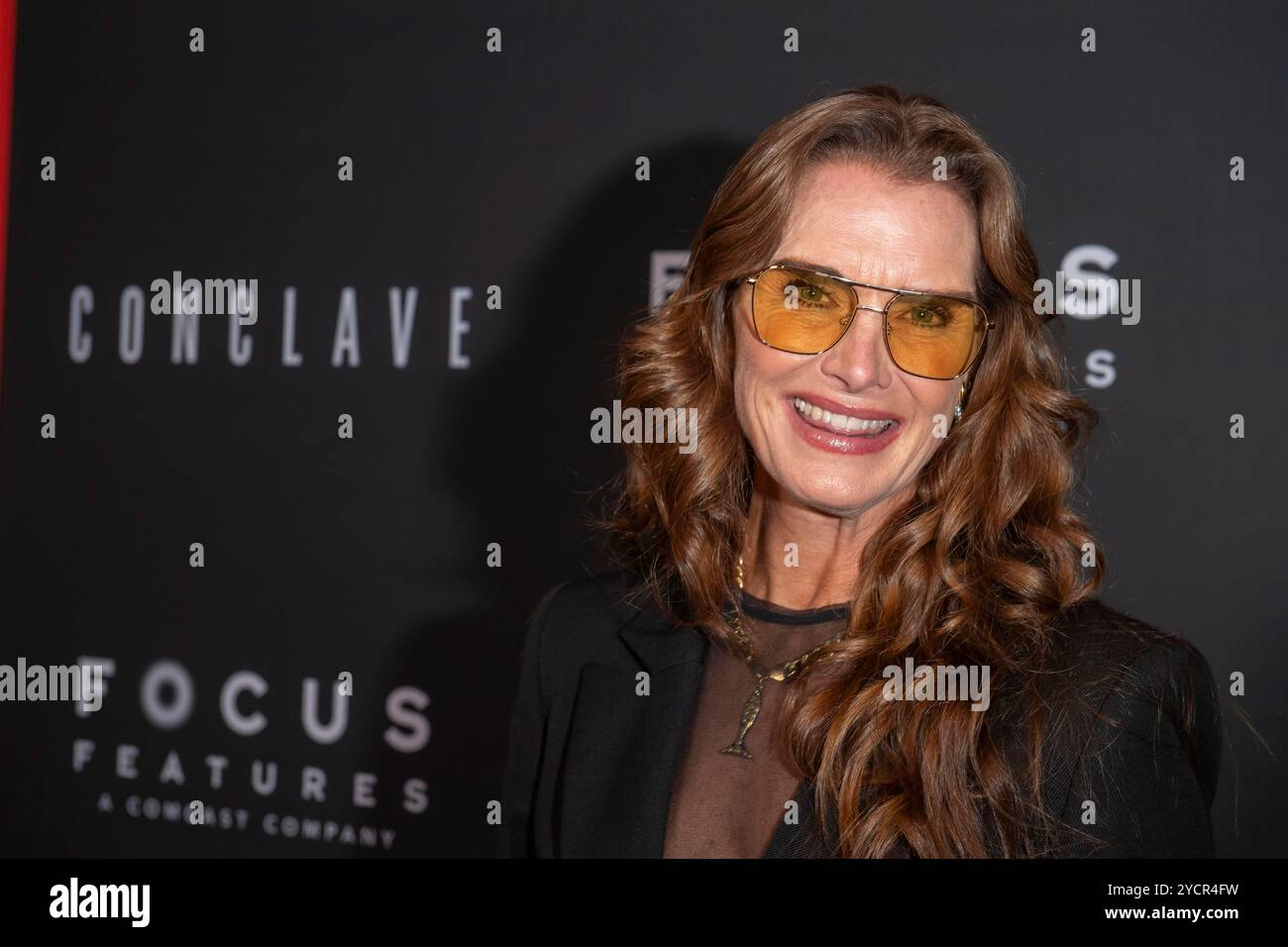 New York, États-Unis. 23 octobre 2024. NEW YORK, NEW YORK - 23 OCTOBRE : Brooke Shields assiste à la première de 'Conclave' New York le 23 octobre 2024 à New York. Crédit : Ron Adar/Alamy Live News Banque D'Images