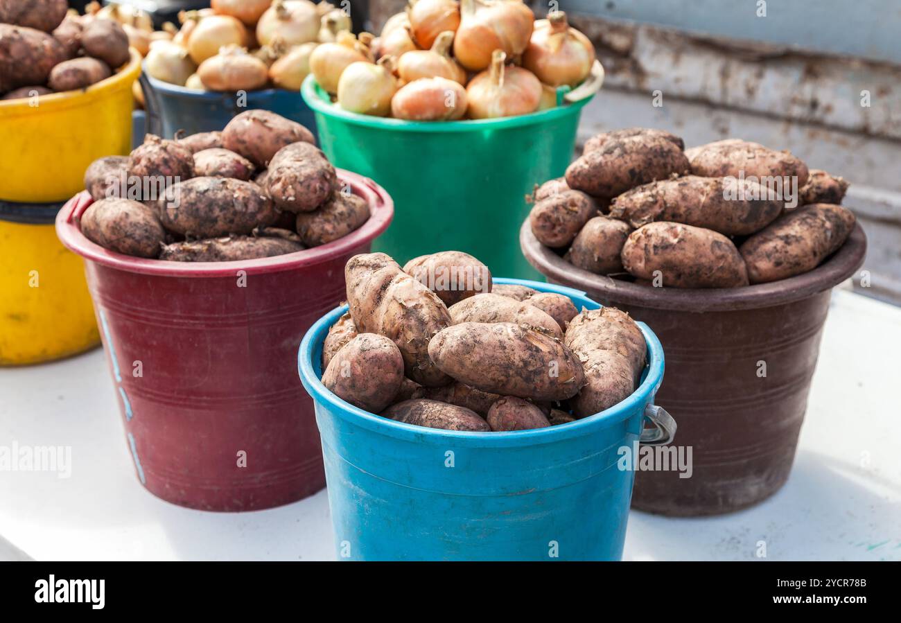 Des pommes de terre biologiques frais de nouvelle récolte à la vente à la marché agricole local Banque D'Images