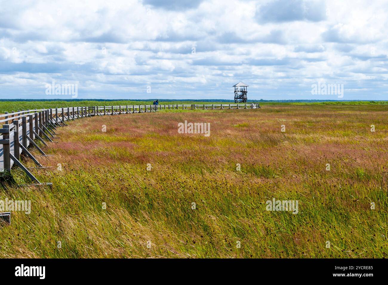 Observatoire d'oiseaux au lac Liepaja, Lettonie Banque D'Images