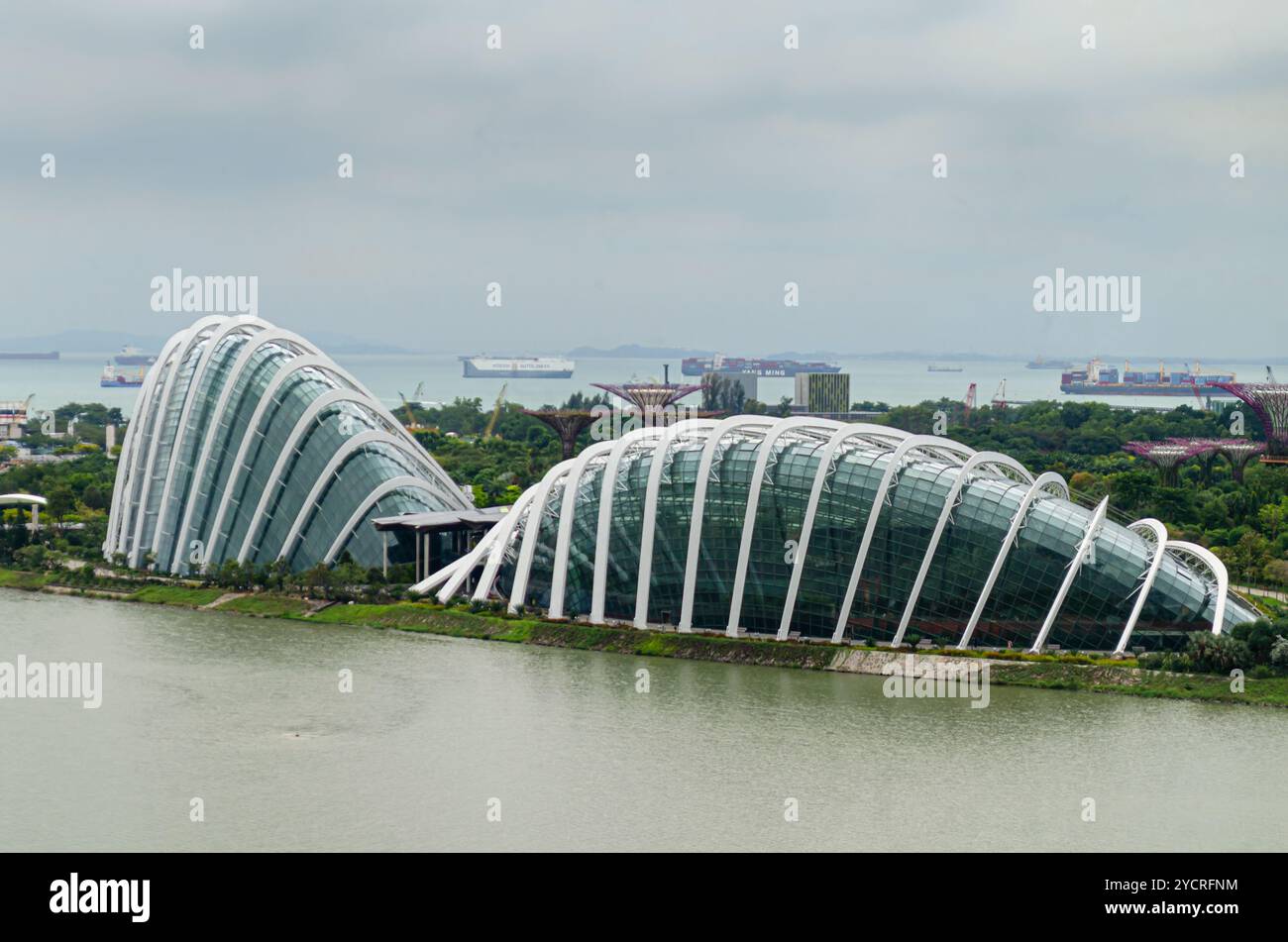 Vue aérienne du Cloud Forest Flower Dome à Gardens by the Bay, Singapour. Banque D'Images
