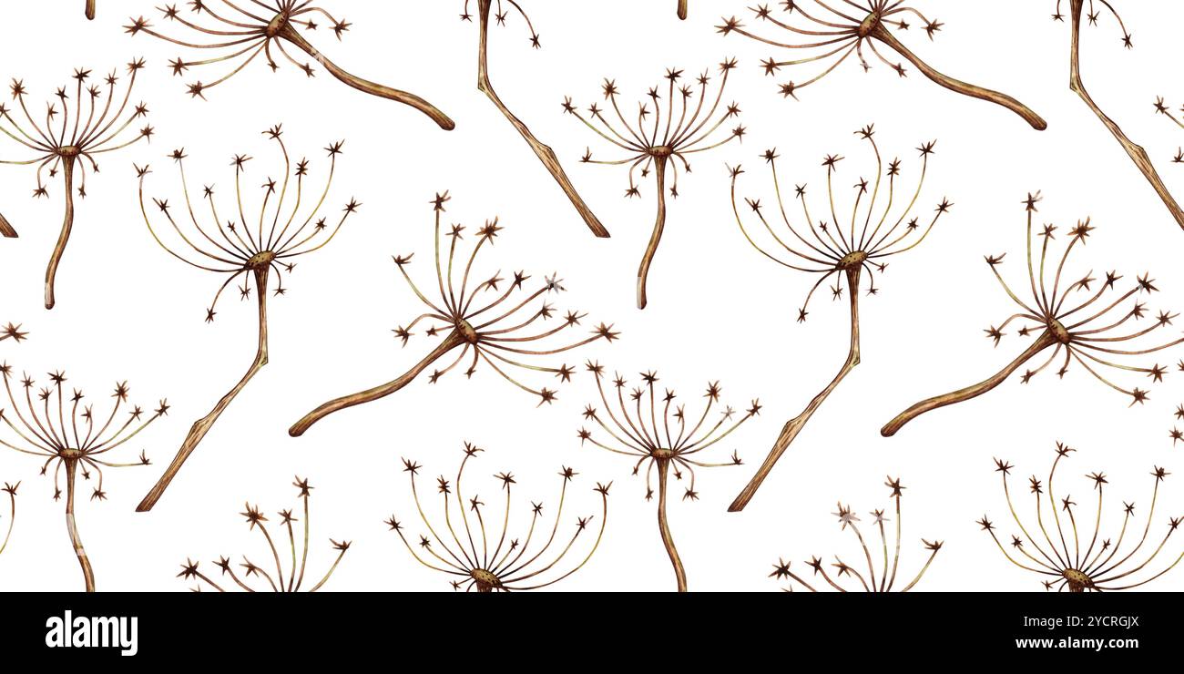 Herbe de fleur séchée avec inflorescences parapluie motif illustration aquarelle. Décoration de tige sèche pour Halloween, Thanksgiving, bouquets, couronnes. Est Banque D'Images