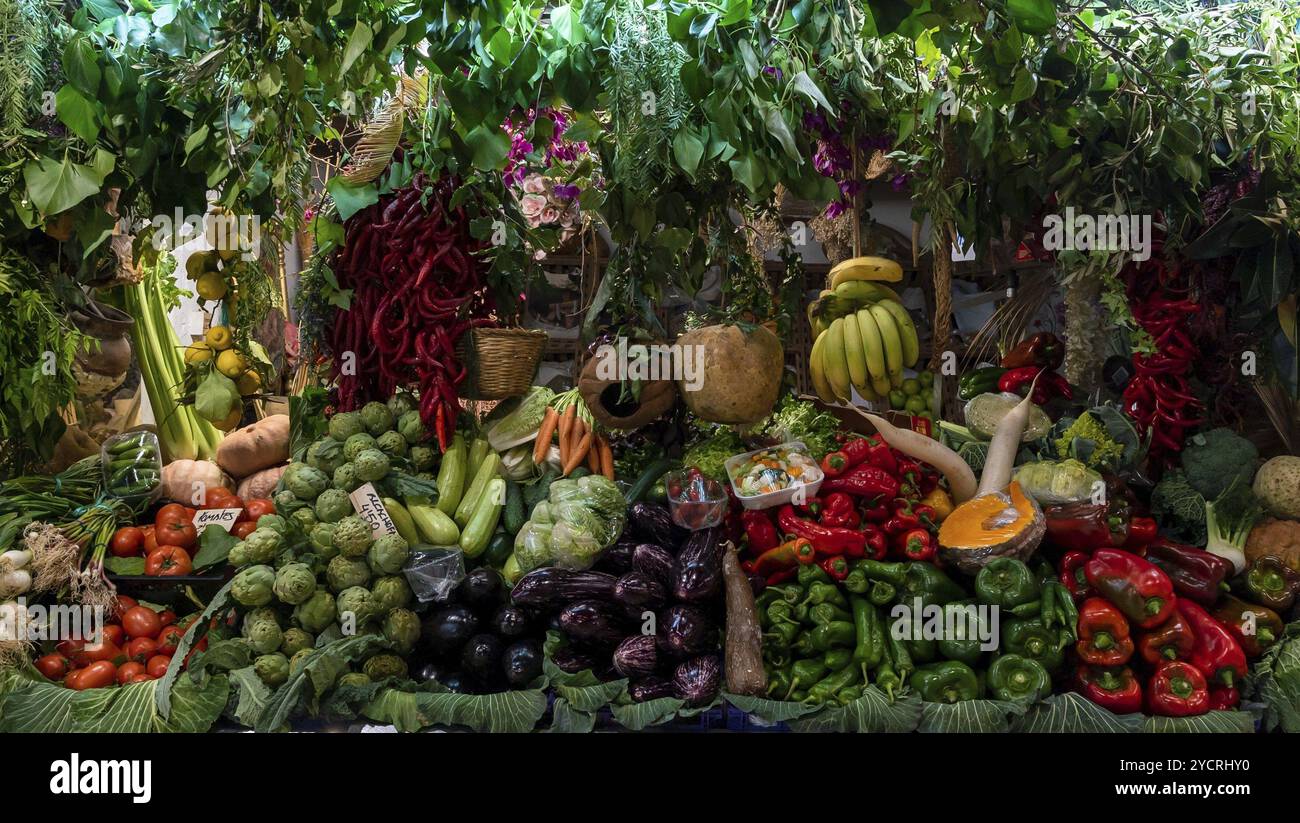 Alicante, Espagne, 2 février 2023 : gros plan horizontal de nombreux légumes colorés dans un étal de marché, Europe Banque D'Images