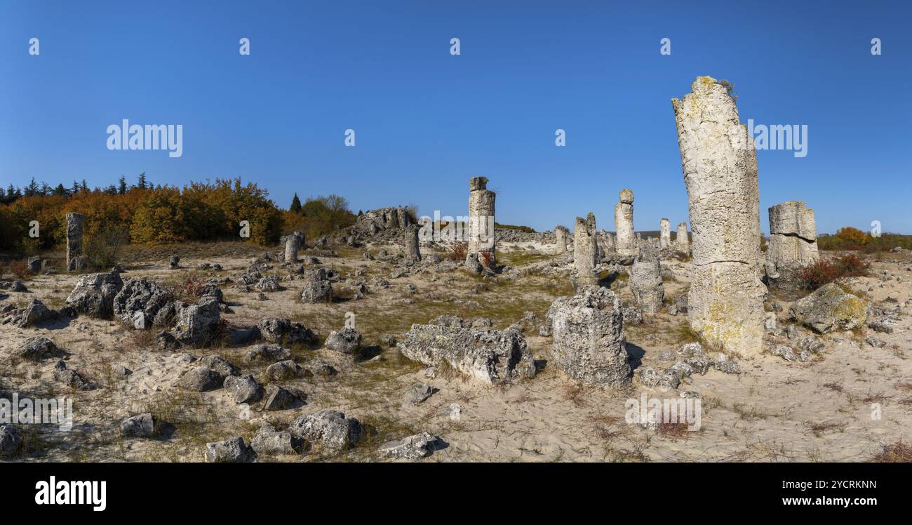 Un paysage panoramique de la forêt de pierres dans le désert de Pobiti Kamani près de Varna Banque D'Images