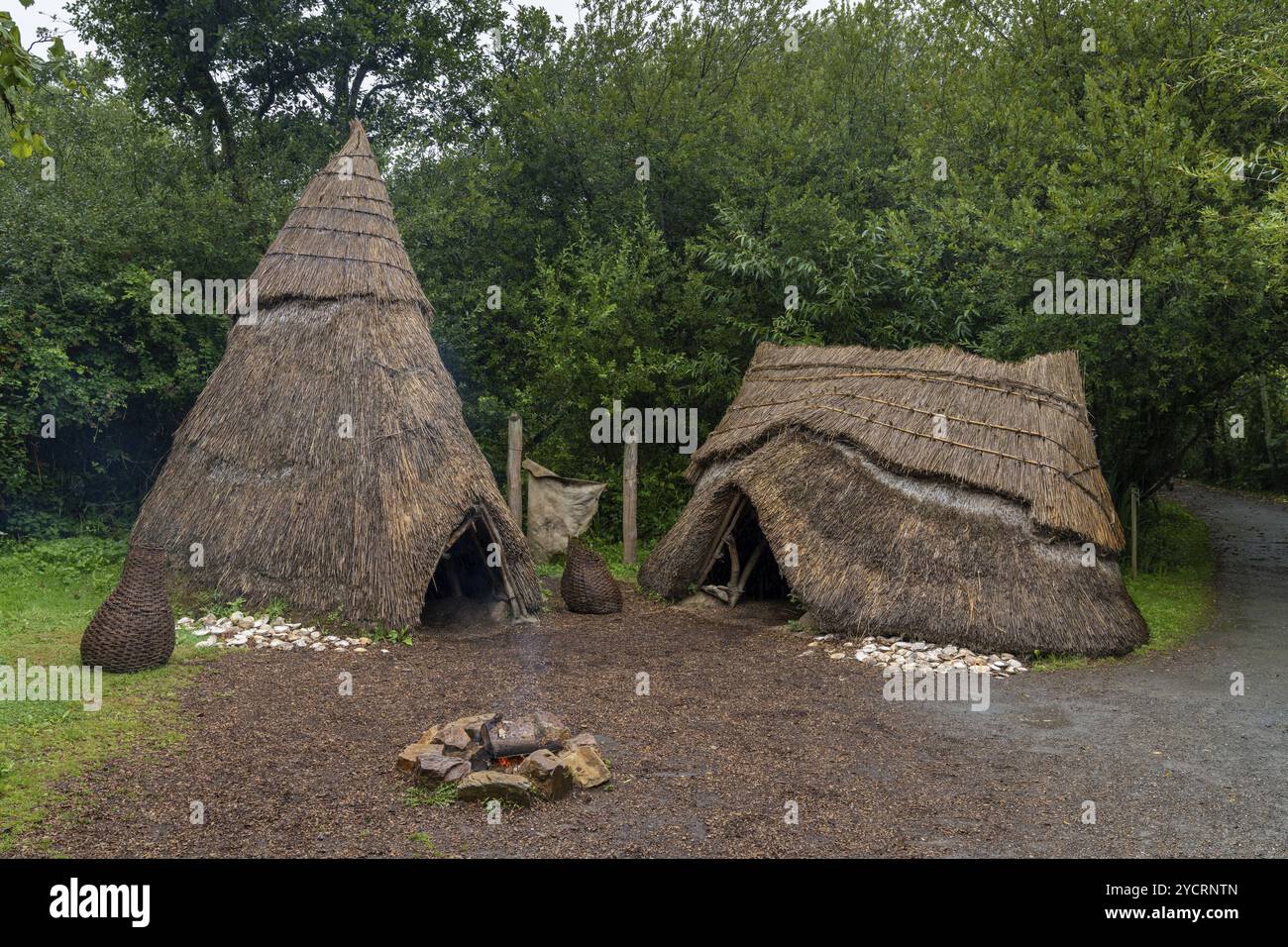 Wexford, Irlande, 18 août 2022 : camping de l'âge de pierre moyen avec des huttes de chaume et un feu ouvert dans le parc du patrimoine national irlandais, en Europe Banque D'Images