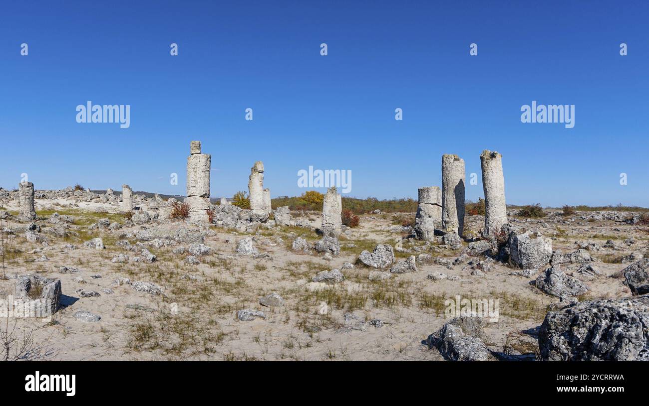 Un paysage panoramique de la forêt de pierres dans le désert de Pobiti Kamani près de Varna Banque D'Images