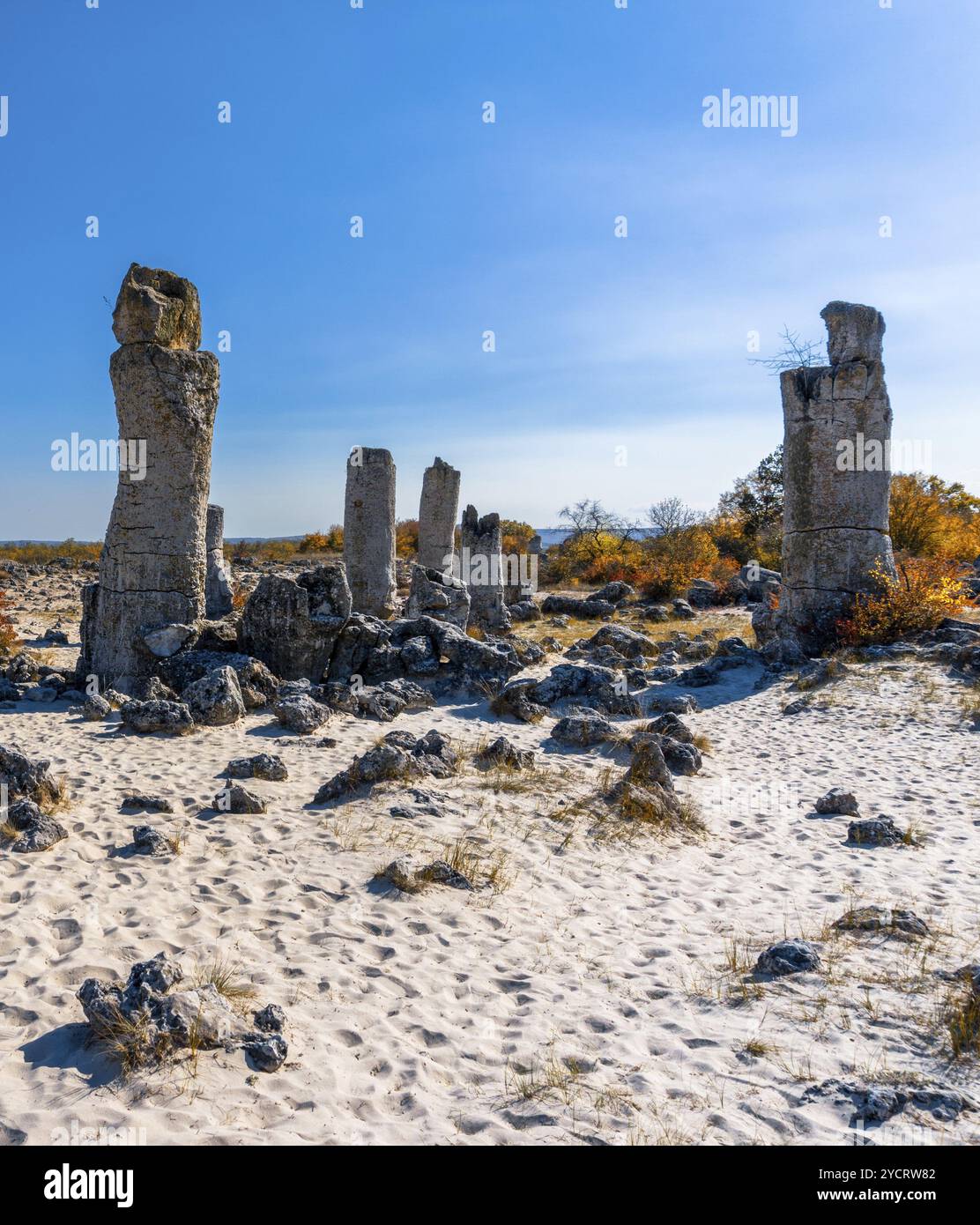 Vue sur la forêt de pierres de Pobiti Kamania et le désert dans la province de Varna en Bulgarie Banque D'Images
