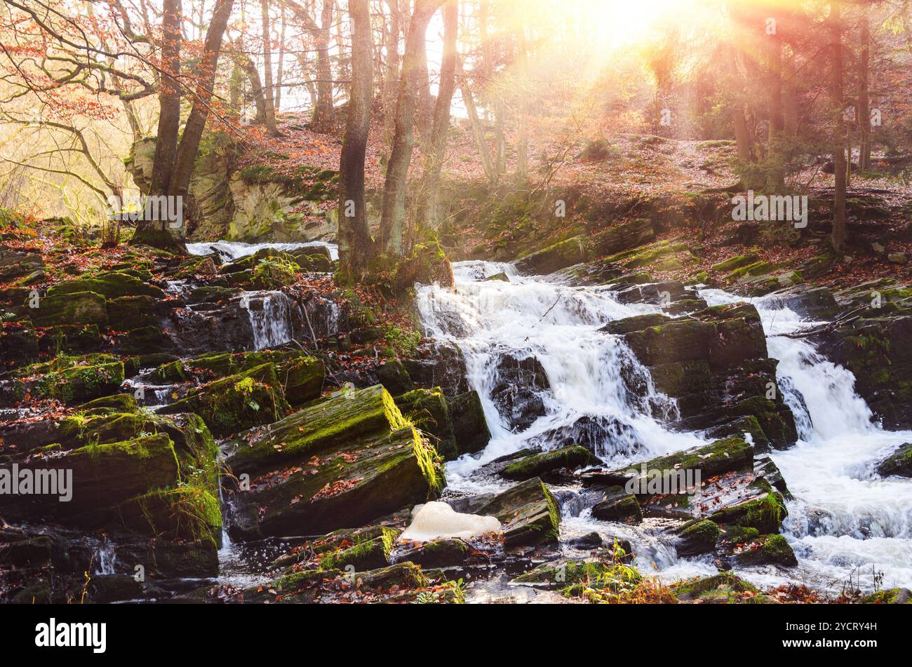Cascade dans la forêt d'automne brumeuse Banque D'Images Cascade dans la forêt d'automne brumeuse Banque D'Images