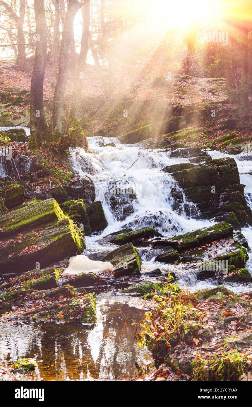 Cascade dans la forêt d'automne brumeuse Banque D'Images Cascade dans la forêt d'automne brumeuse Banque D'Images