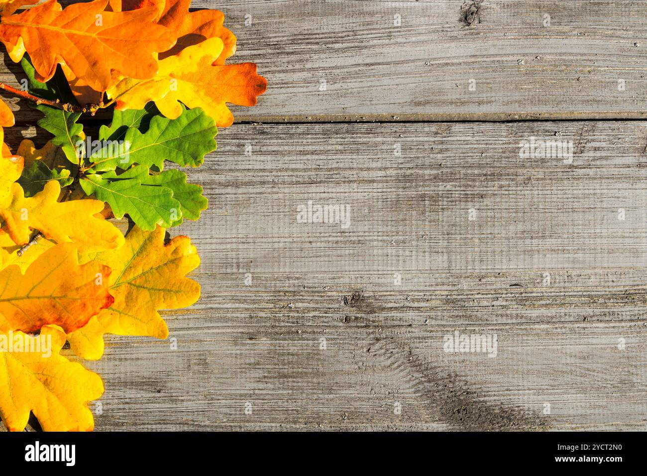 Les feuilles d'automne sur une table Banque D'Images Les feuilles d'automne sur une table Banque D'Images