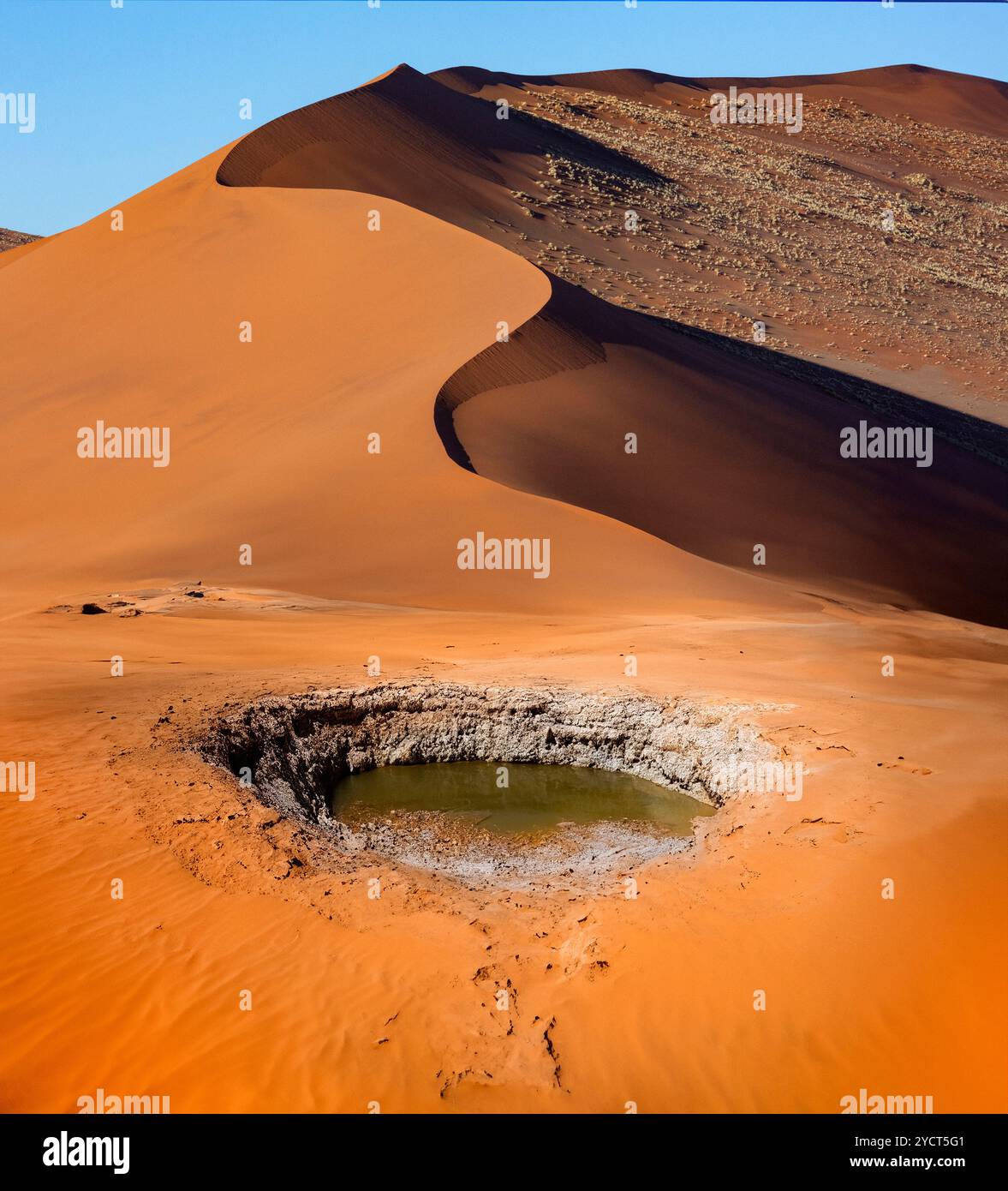 Trou d'eau et dunes de sable dans le désert du Namib près de Sossusvlei en Namibie, Afrique. Banque D'Images
