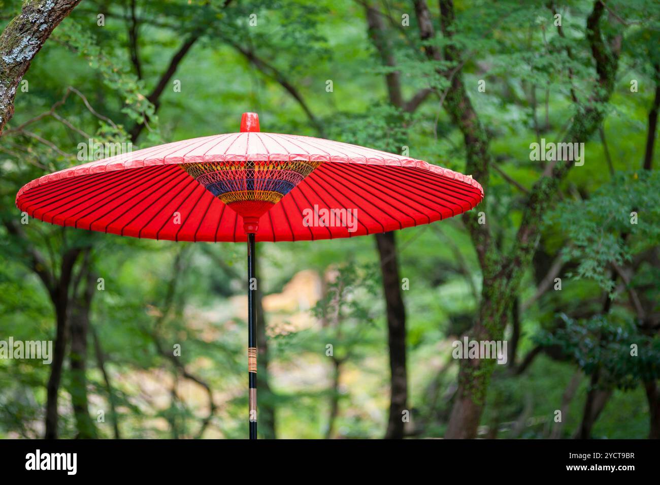 Parapluie japonais rouge en vert frais Banque D'Images