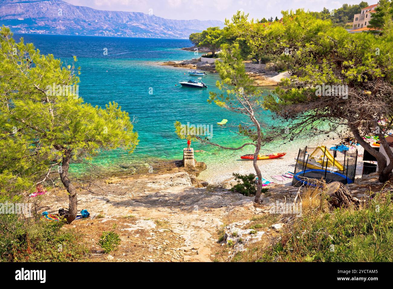 Plage turquoise en pins sur Brac Banque D'Images