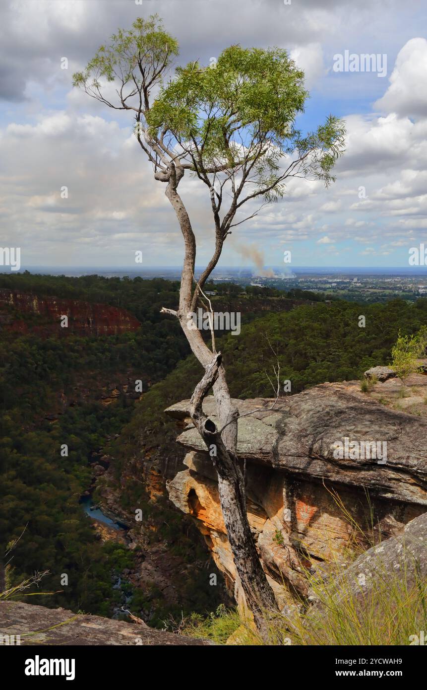 Vues le long de Glenbrook gorge avec Glenbrook Creek ci-dessous. Penrith Valley et Greater Sydney au-delà. De nombreuses promenades dans le Bush vous amènent dans la gorge et Alo Banque D'Images