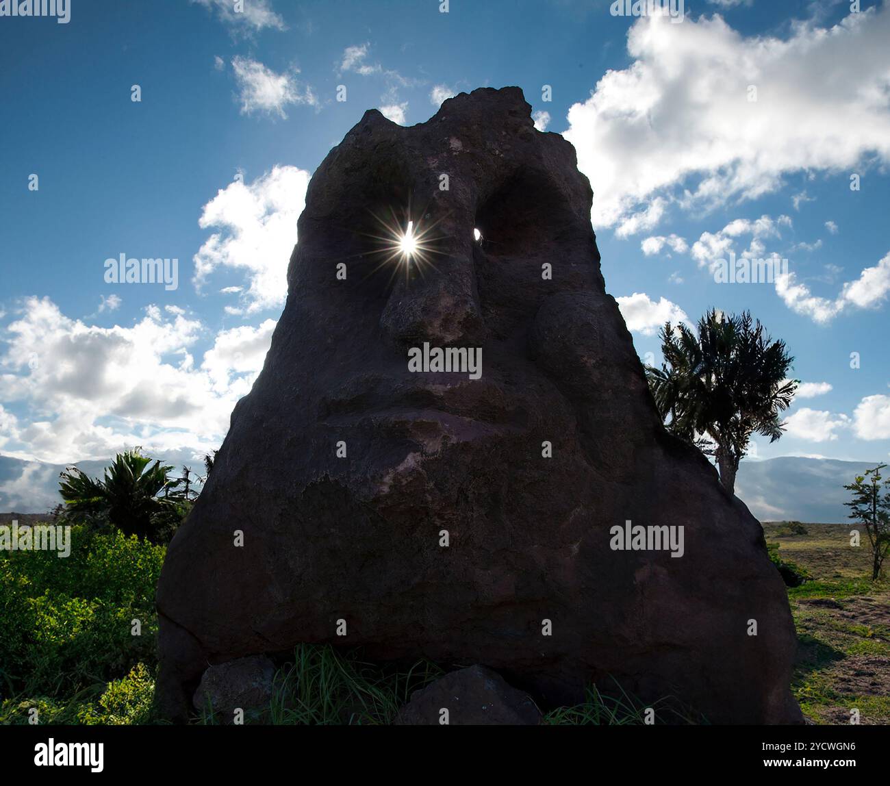 Moai sur l'île de Pâques, Rapa Nui avec le soleil qui brille à travers les yeux. Sculpture en pierre ancienne nichée parmi les arbres et la nature. Positionnement créatif du rayon de soleil Banque D'Images