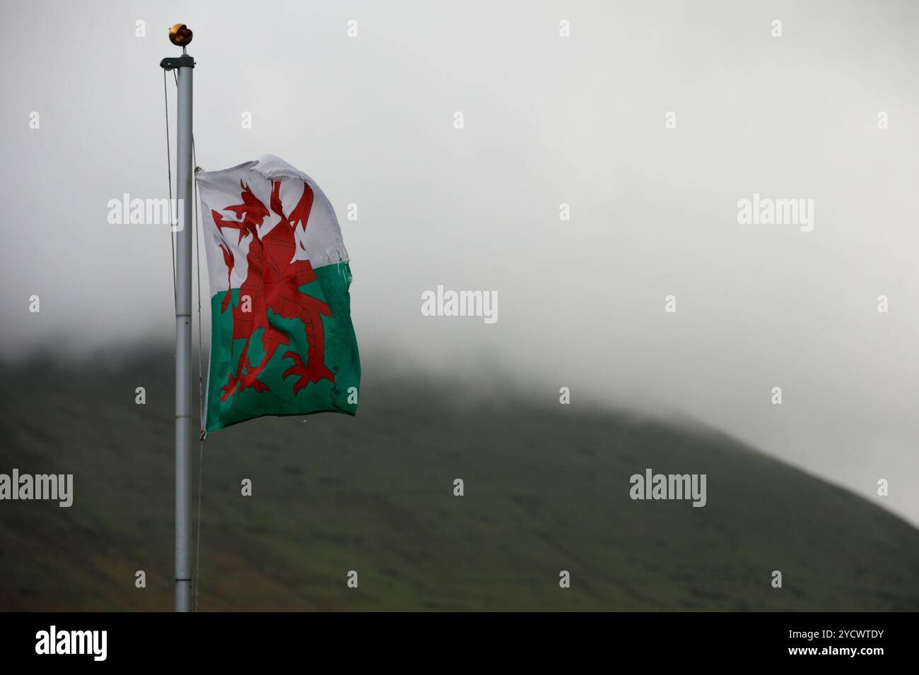 Storey Arms, Galles du Sud, Royaume-Uni. 24 octobre 2024. Météo britannique : brouillard et vent aux Brecon Beacons ce matin, avec le drapeau gallois flottant. Crédit : Andrew Bartlett/Alamy Live News. Banque D'Images Storey Arms, Galles du Sud, Royaume-Uni. 24 octobre 2024. Météo britannique : brouillard et vent aux Brecon Beacons ce matin, avec le drapeau gallois flottant. Crédit : Andrew Bartlett/Alamy Live News. Banque D'Images