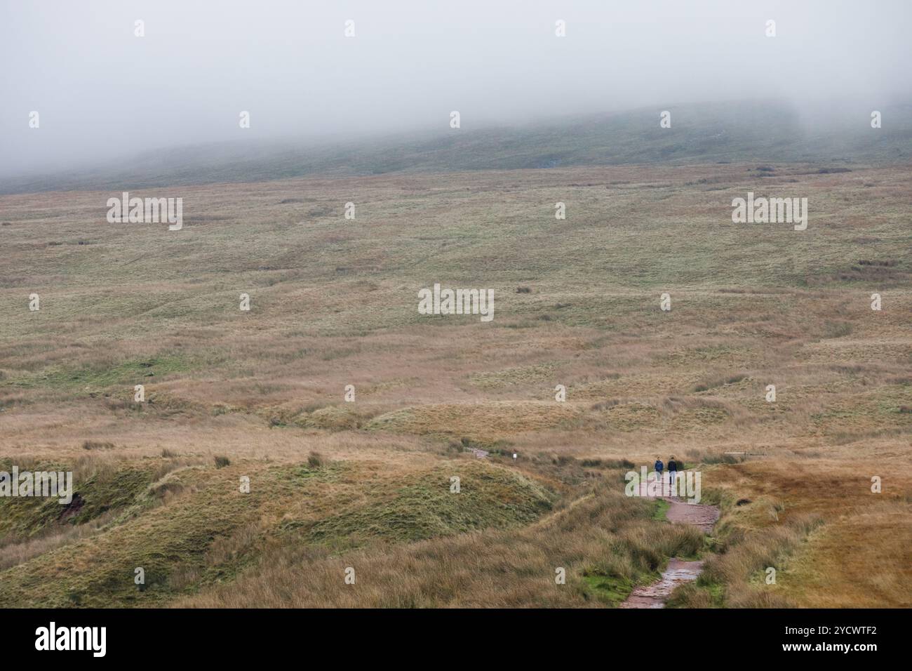 Storey Arms, Galles du Sud, Royaume-Uni. 24 octobre 2024. Météo britannique : les gens découvrent les Brecon Beacons avec du brouillard au sommet. Crédit : Andrew Bartlett/Alamy Live News. Banque D'Images Storey Arms, Galles du Sud, Royaume-Uni. 24 octobre 2024. Météo britannique : les gens découvrent les Brecon Beacons avec du brouillard au sommet. Crédit : Andrew Bartlett/Alamy Live News. Banque D'Images