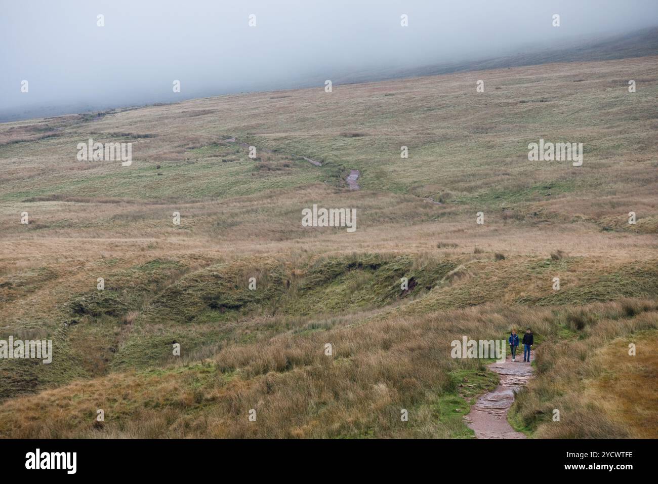 Storey Arms, Galles du Sud, Royaume-Uni. 24 octobre 2024. Météo britannique : les gens découvrent les Brecon Beacons avec du brouillard au sommet. Crédit : Andrew Bartlett/Alamy Live News. Banque D'Images Storey Arms, Galles du Sud, Royaume-Uni. 24 octobre 2024. Météo britannique : les gens découvrent les Brecon Beacons avec du brouillard au sommet. Crédit : Andrew Bartlett/Alamy Live News. Banque D'Images