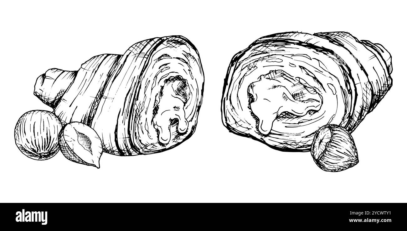 Une illustration vectorielle détaillée dessinée à la main de croissants aux noisettes. Croquis noir et blanc mettant en valeur la texture feuilletée et le remplissage de noix. Idéal pour Illustration de Vecteur