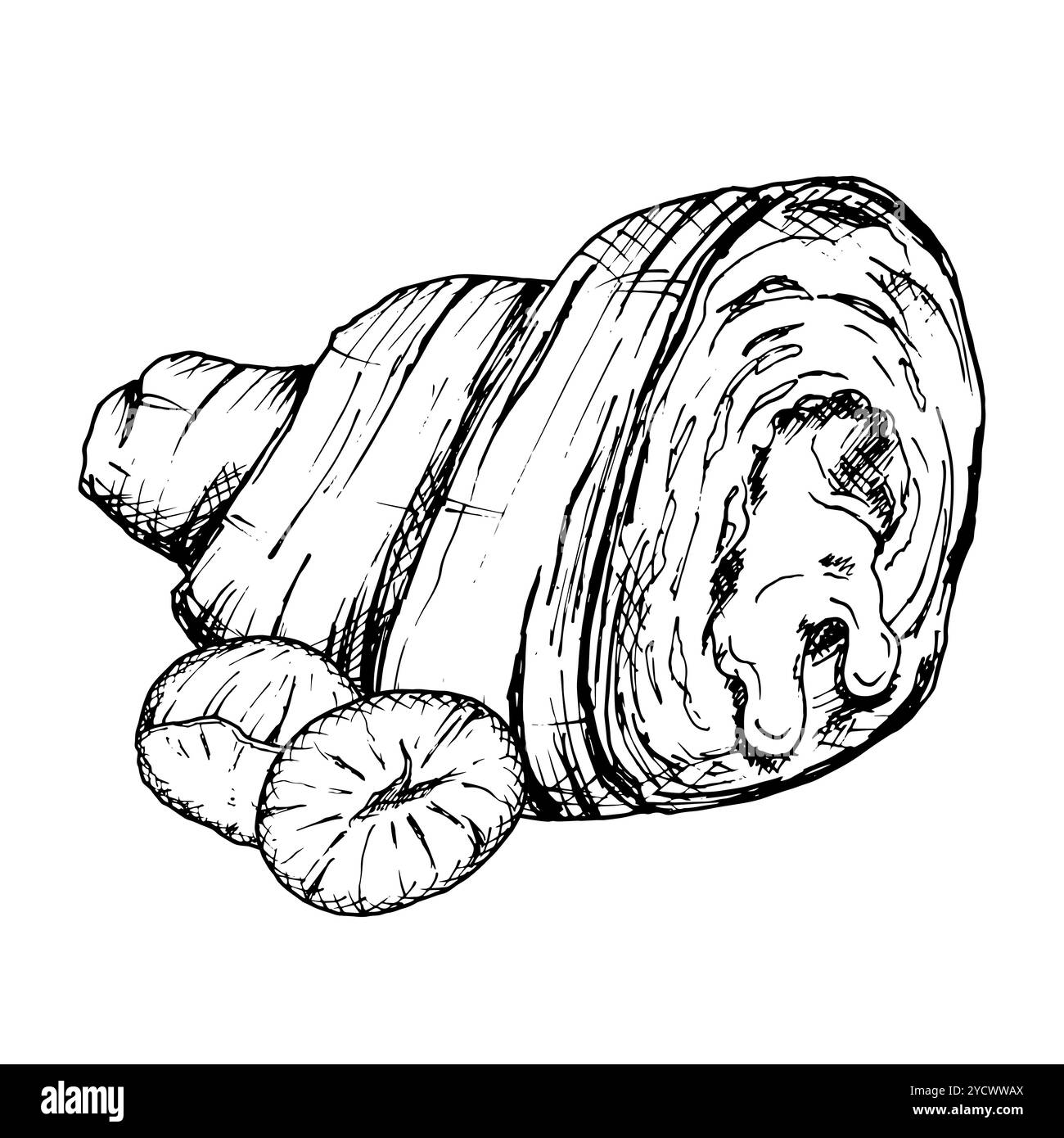 Une illustration vectorielle détaillée dessinée à la main de croissant avec des noisettes. Croquis noir et blanc mettant en valeur la texture feuilletée et le remplissage de noix. Idéal pour Illustration de Vecteur