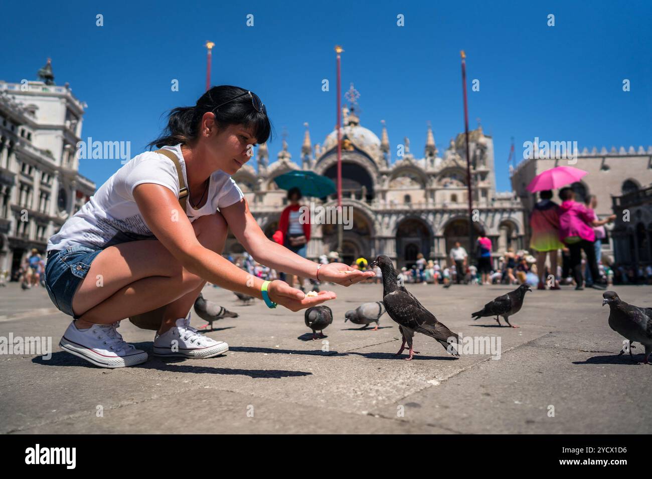 Touriste nourrir les pigeons dans le carré - Place Saint Marc Venise - Italie Banque D'Images