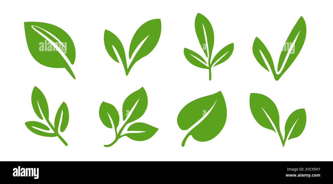 Symbole de feuille verte. Jeu d'icônes de feuilles de plantes ou d'arbres. Panneaux d'étiquettes biologiques ou naturels Illustration de Vecteur