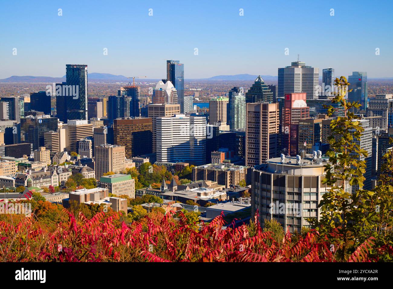 Canada, Québec, Montréal, centre-ville, d'horizon, Banque D'Images