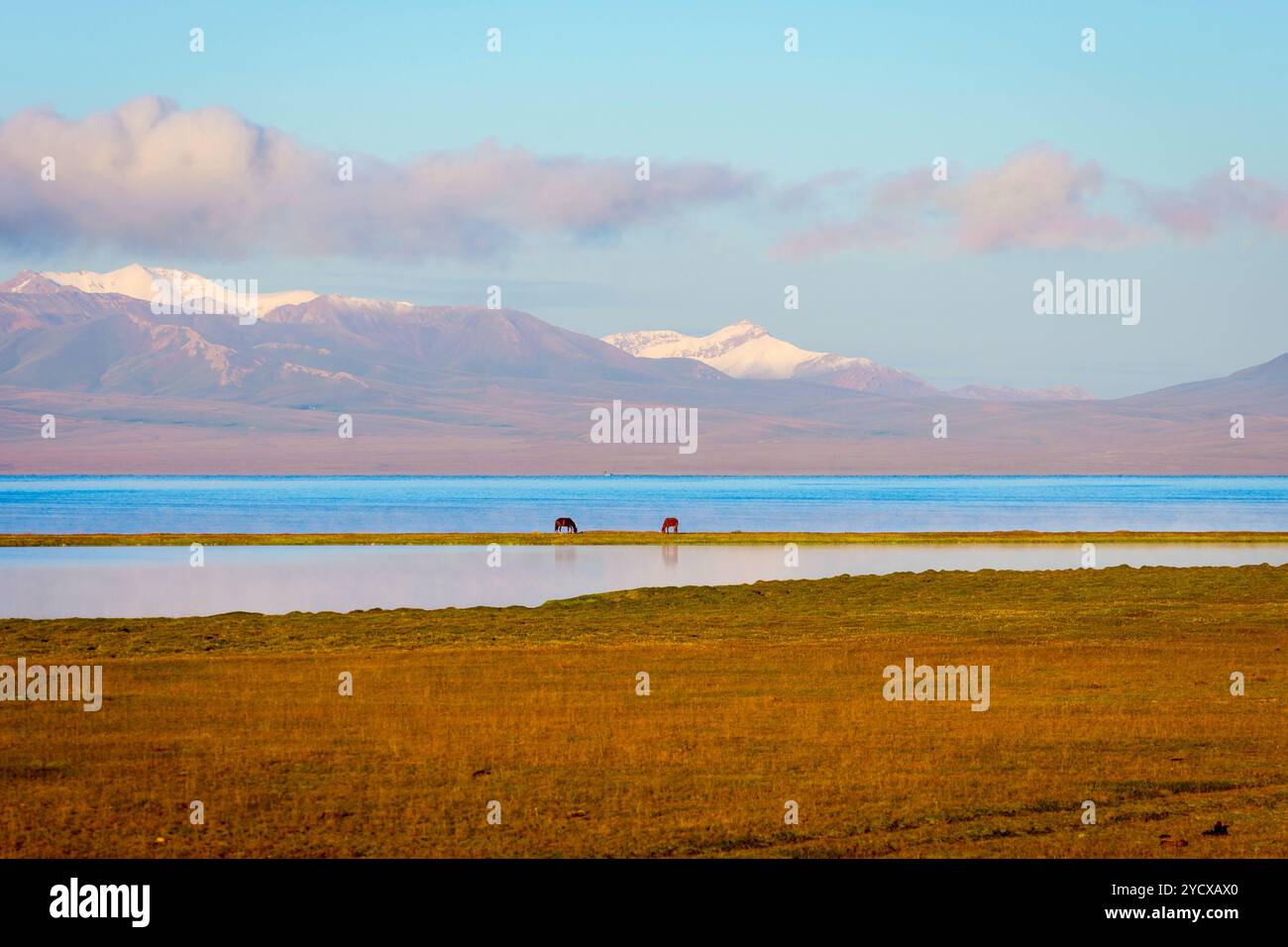 Lac Song Kul avec chevaux et montagnes Banque D'Images Lac Song Kul avec chevaux et montagnes Banque D'Images