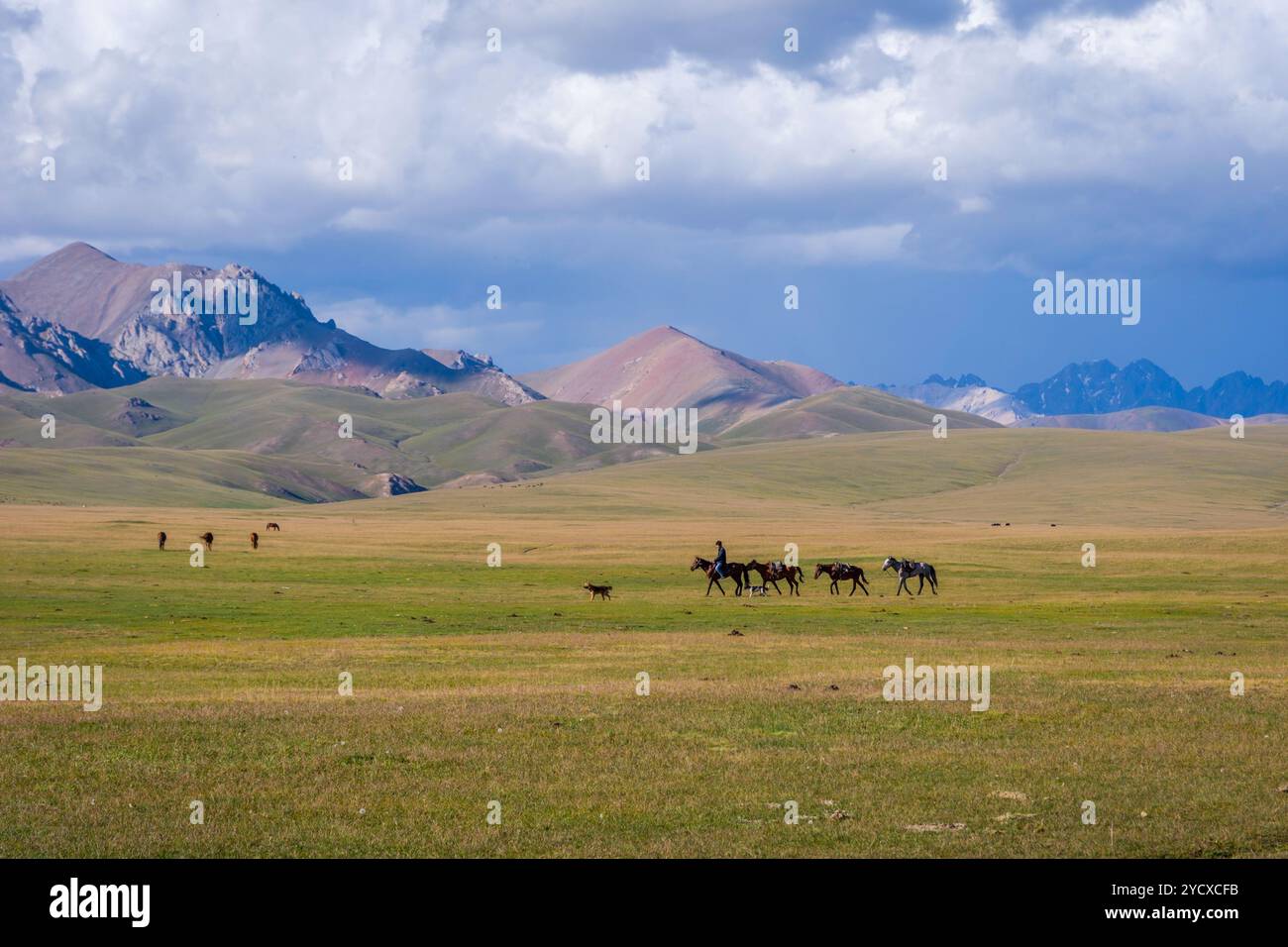 Homme guidant les chevaux, lac Song Kul Banque D'Images