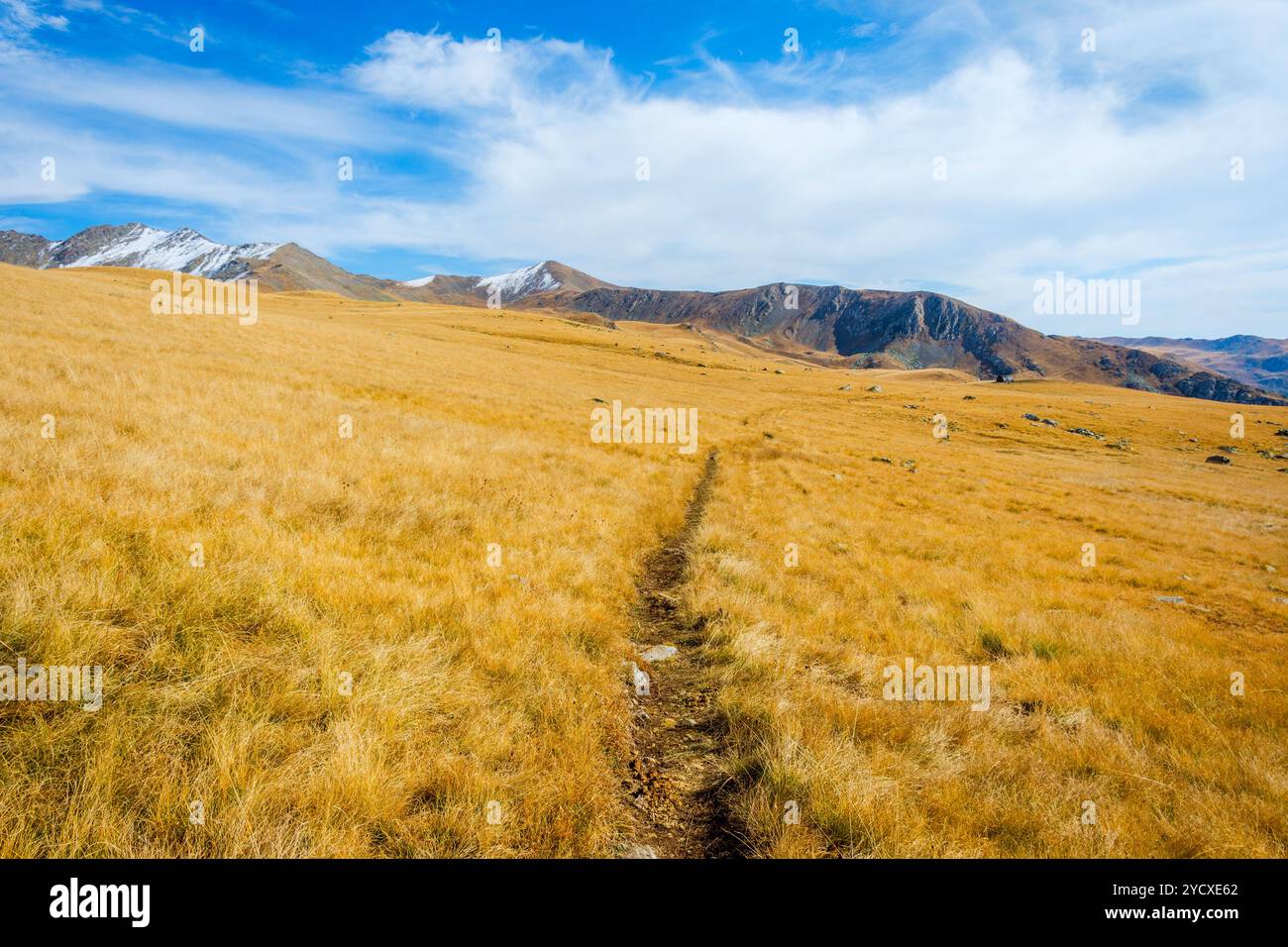 Chemin à travers les montagnes dorées d'automne, Lagodekhi Banque D'Images