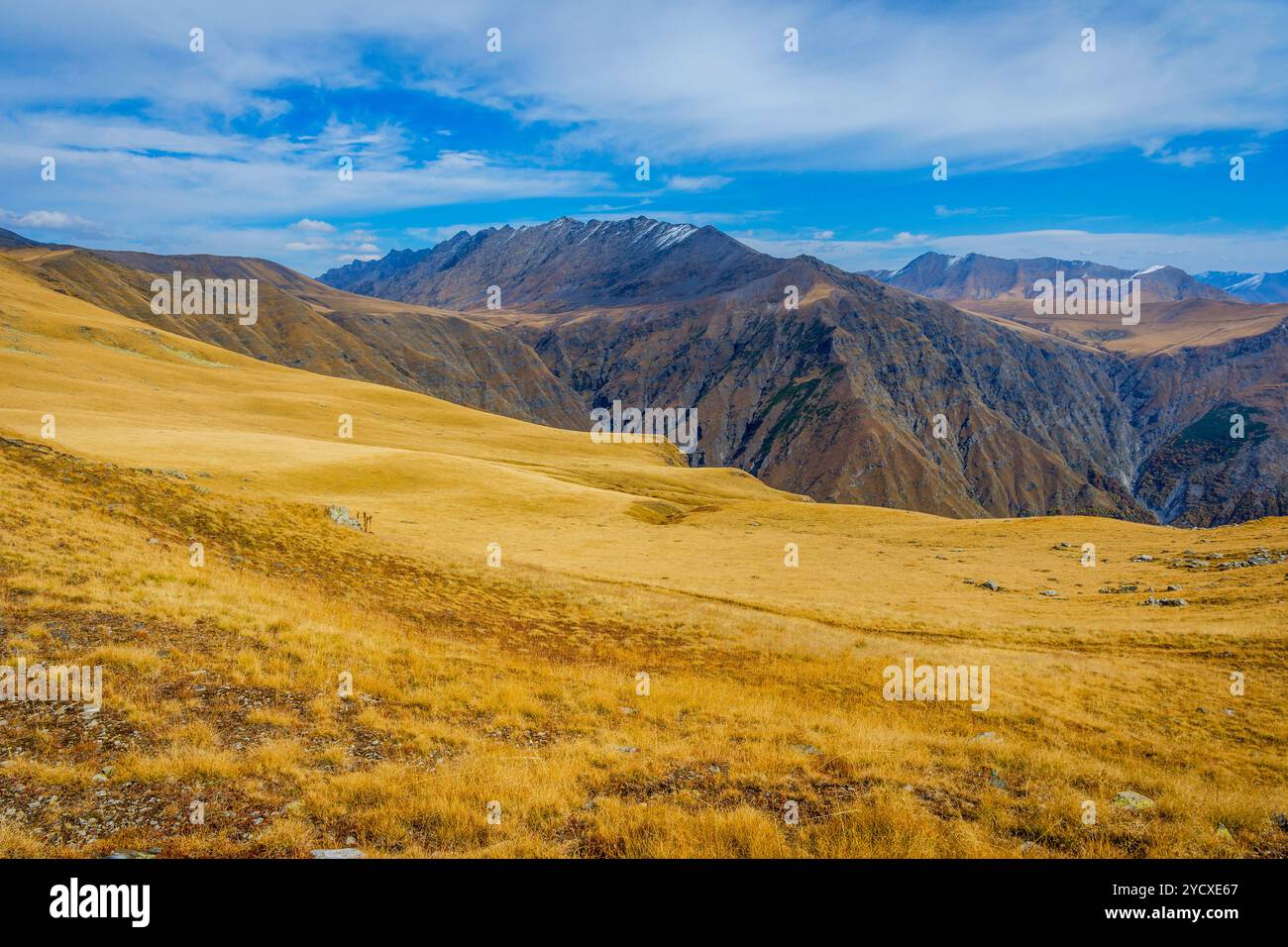 Montagnes dorées dans le parc national de Lagodekhi, Géorgie Banque D'Images