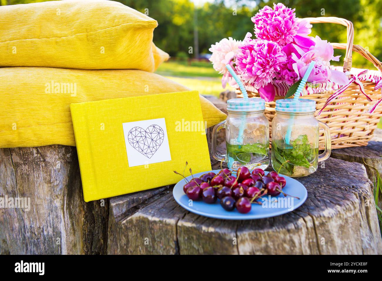 Pique-nique d'été lumineux Banque D'Images