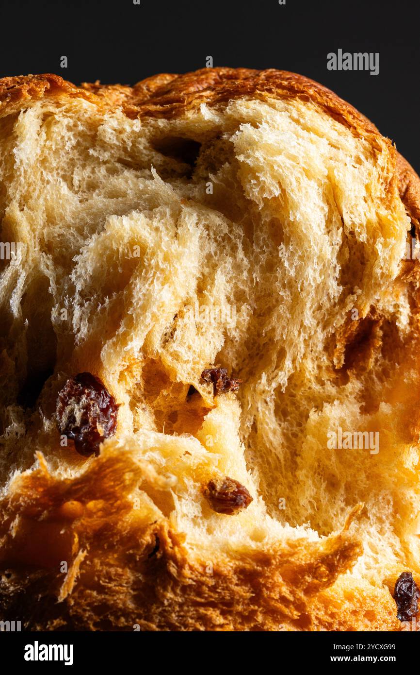 Vue rapprochée présentant la texture moelleuse et la croûte dorée d'un Panettone traditionnel, parsemé de raisins secs juteux, typiques des friandises de Noël Banque D'Images