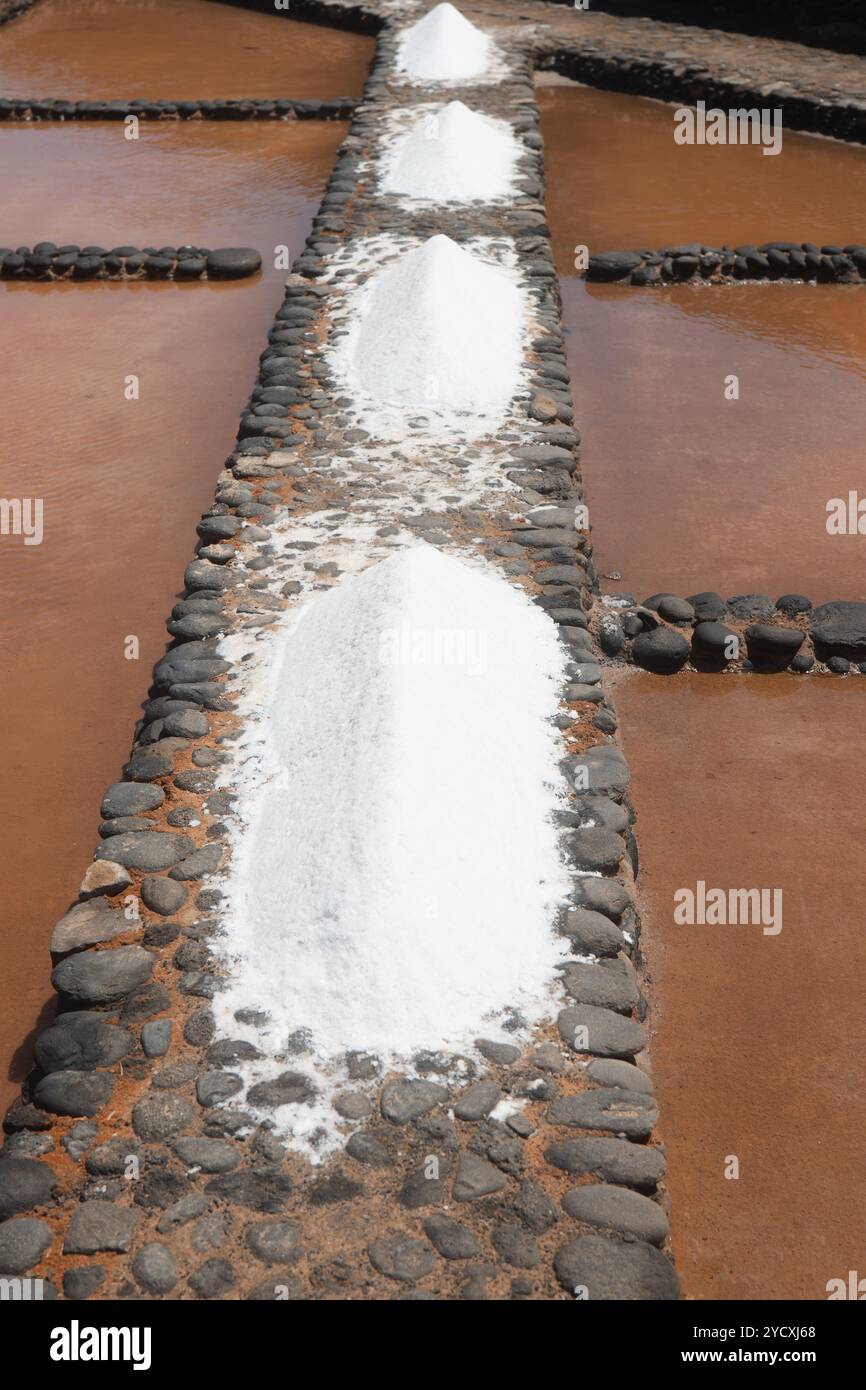 Cette image capture la méthode traditionnelle de production de sel, mettant en valeur des rangées de tas de sel soigneusement placés le long de chemins bordés de pierre dans le fil de marais salants Banque D'Images