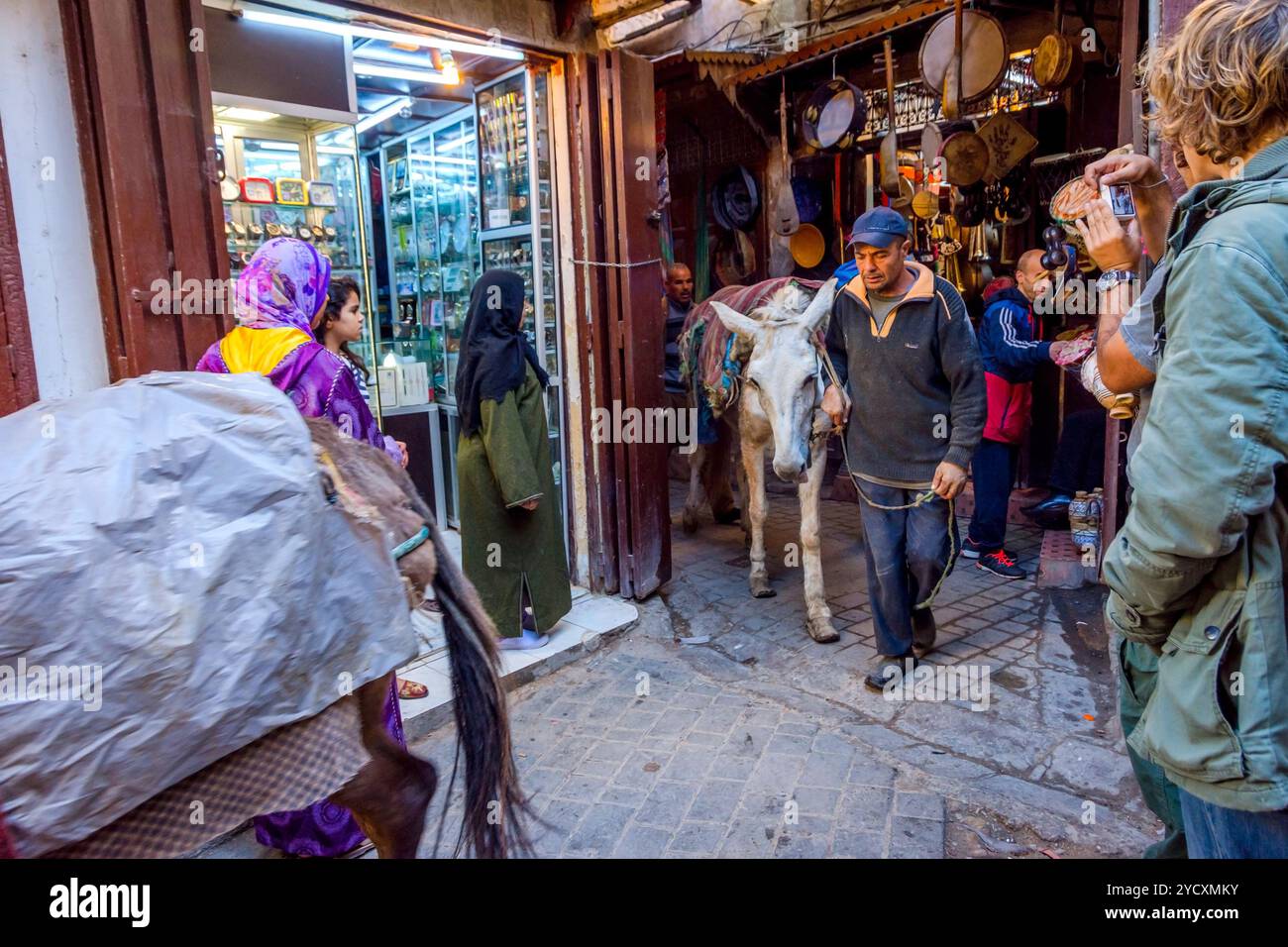 Transport d'ânes dans la médina de Fès Banque D'Images