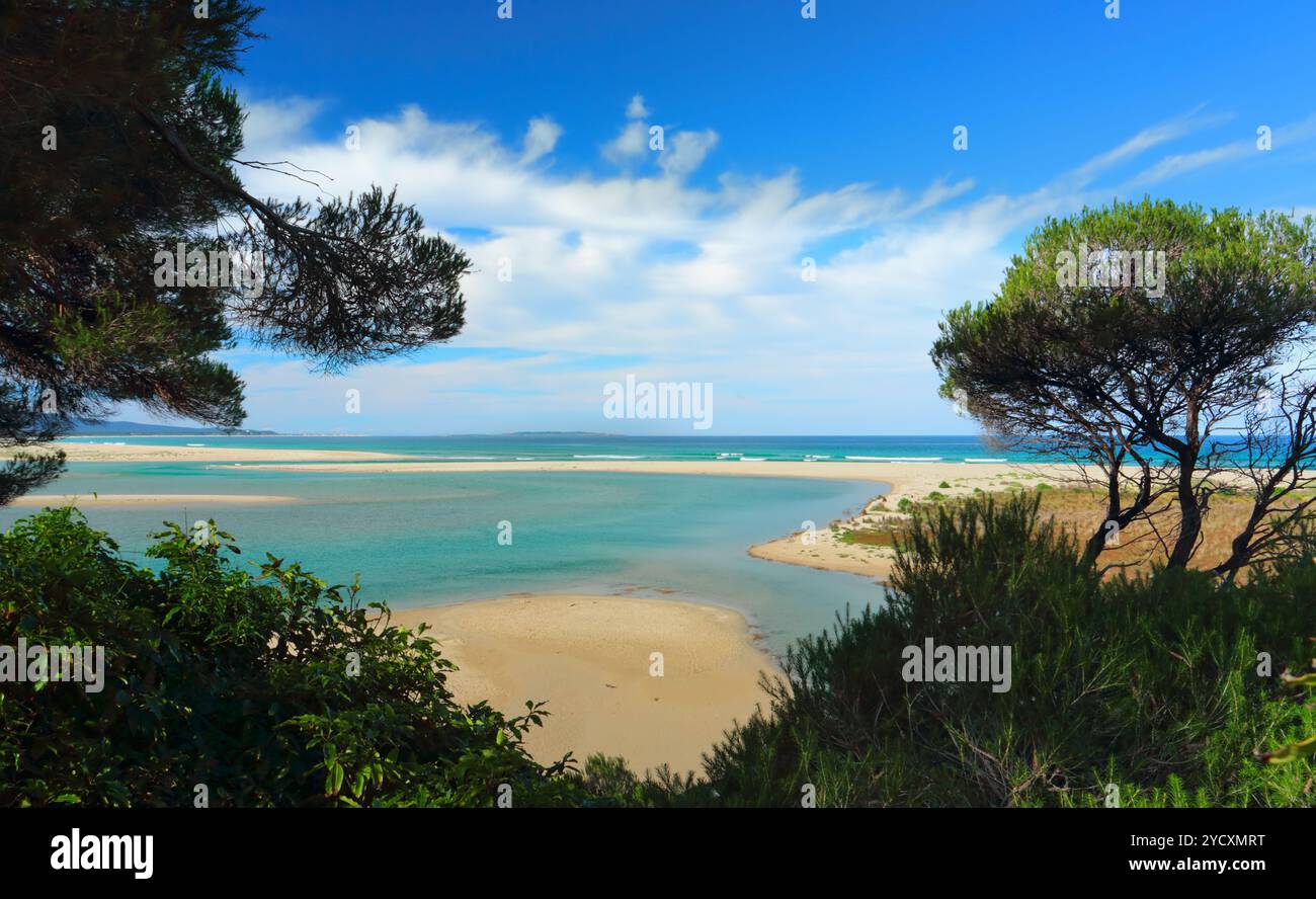 Vue sur l'anse de Mallacoota Banque D'Images